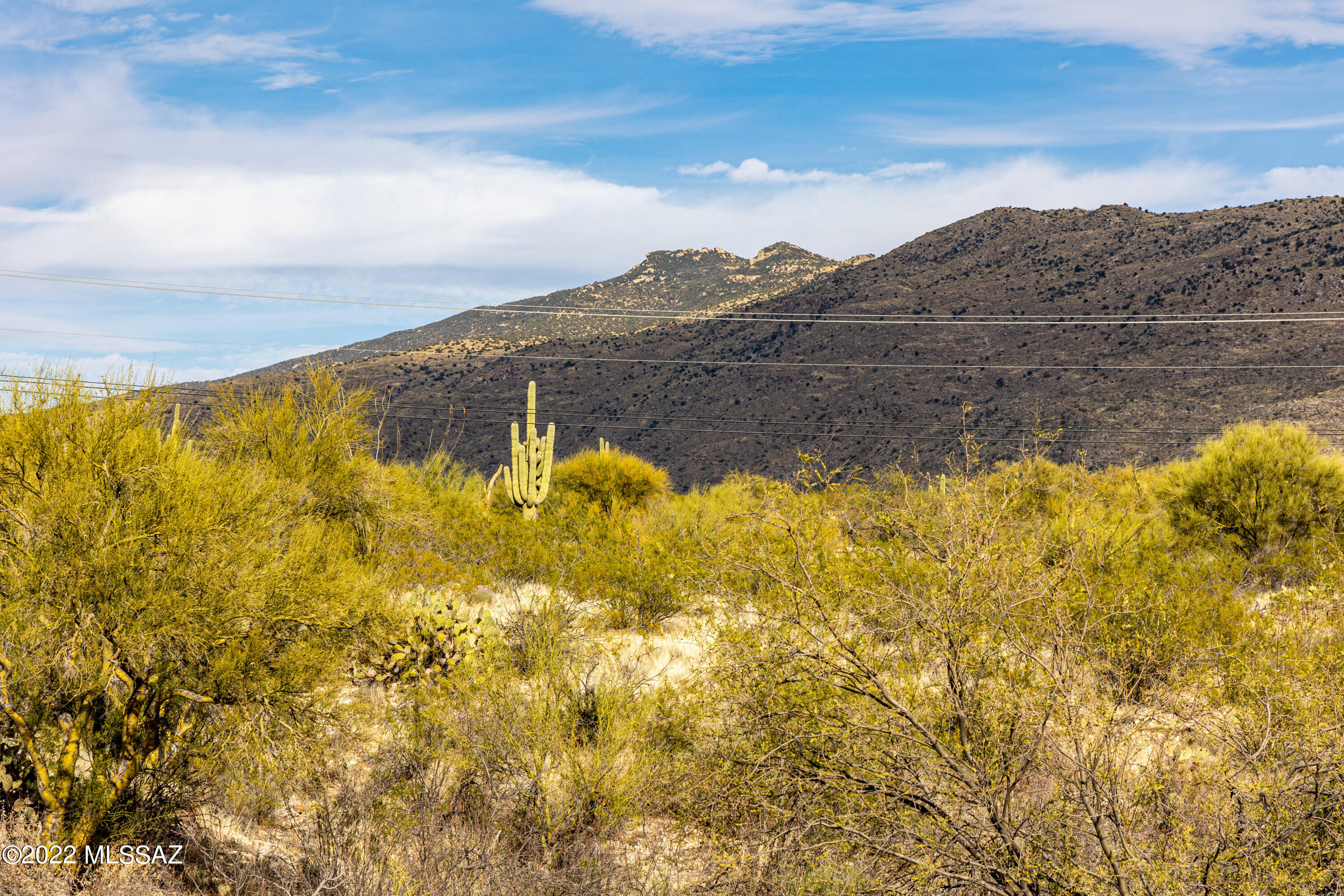 Last lot available for sale in Custom Gated Community; Saguaro Monument Estates. Located in the backdrop of Saguaro National Park east with views from every direction. Gated and private this 3.3 acre lot with large building envelope is located near unlimited hiking, biking and riding trails while only minutes from the airport, downtown, shopping and the University of Arizona and Science Technology Park.  Also located near the new Northwest Hospital on Houghton Road. Surrounded by beautiful Custom Homes.  Located in the Tanque Verde School District, with all utilities to lot line, including cable.  Call with any questions or for a private tour.