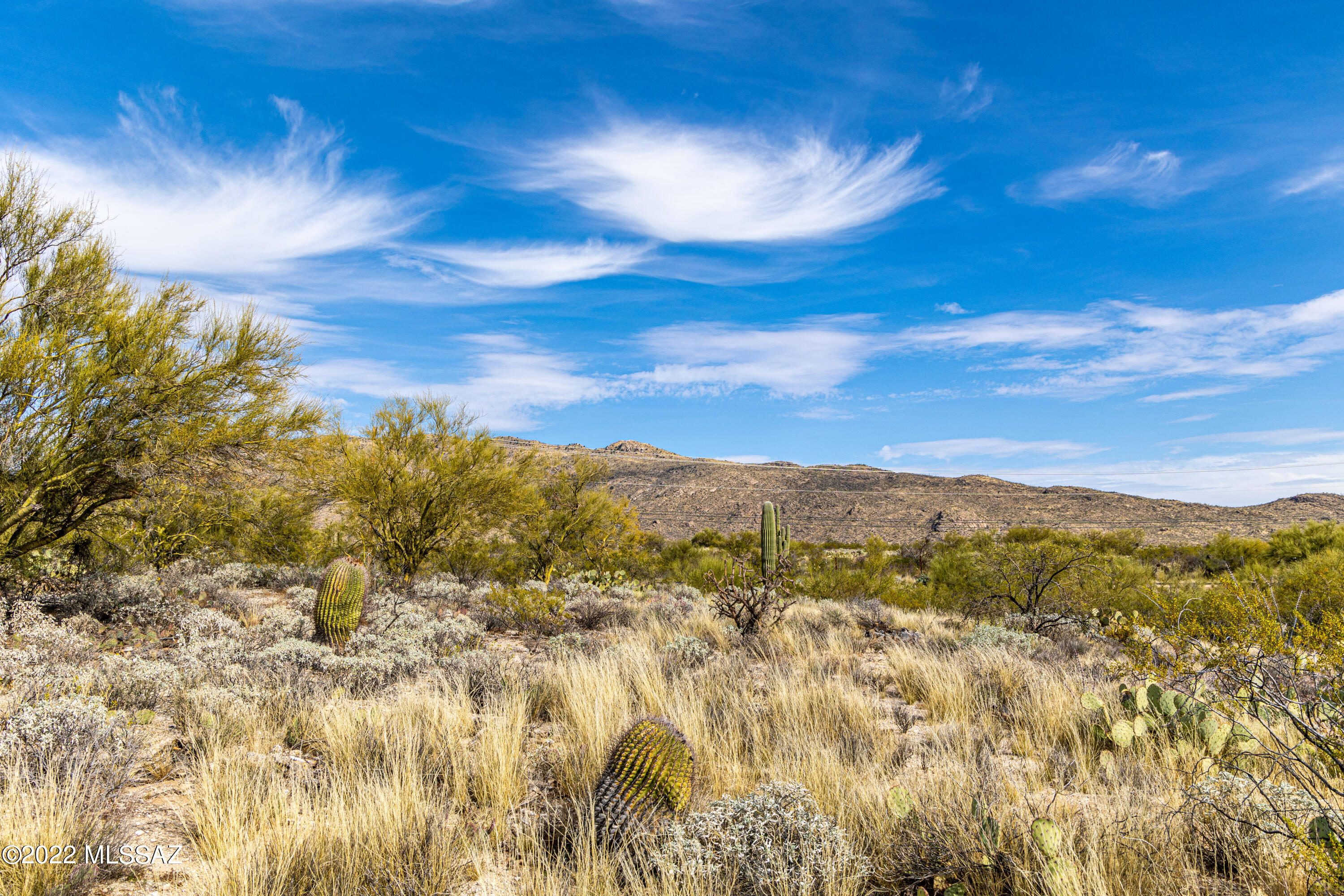 Saguaro Monument Estates - Land