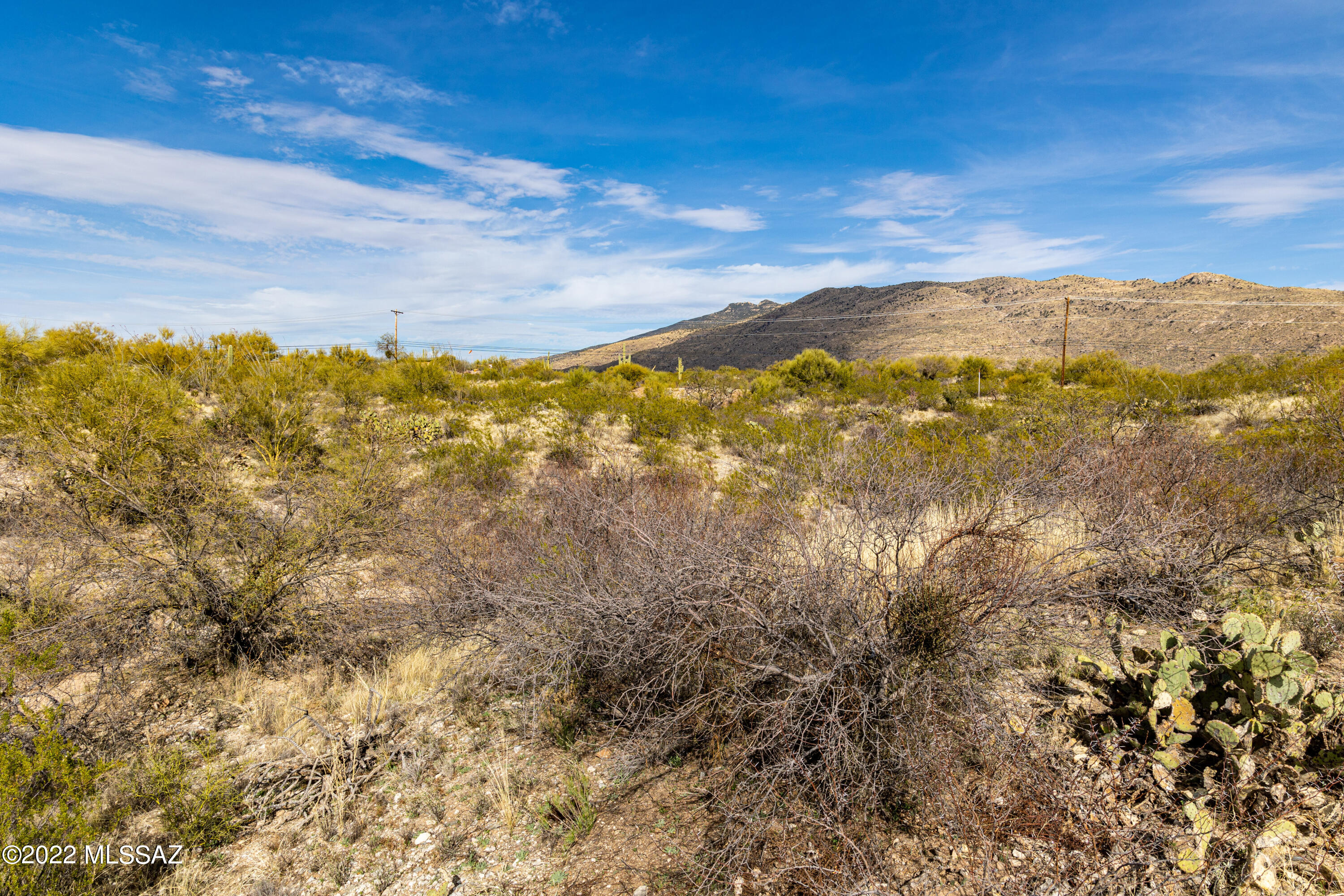 Saguaro Monument Estates - Land