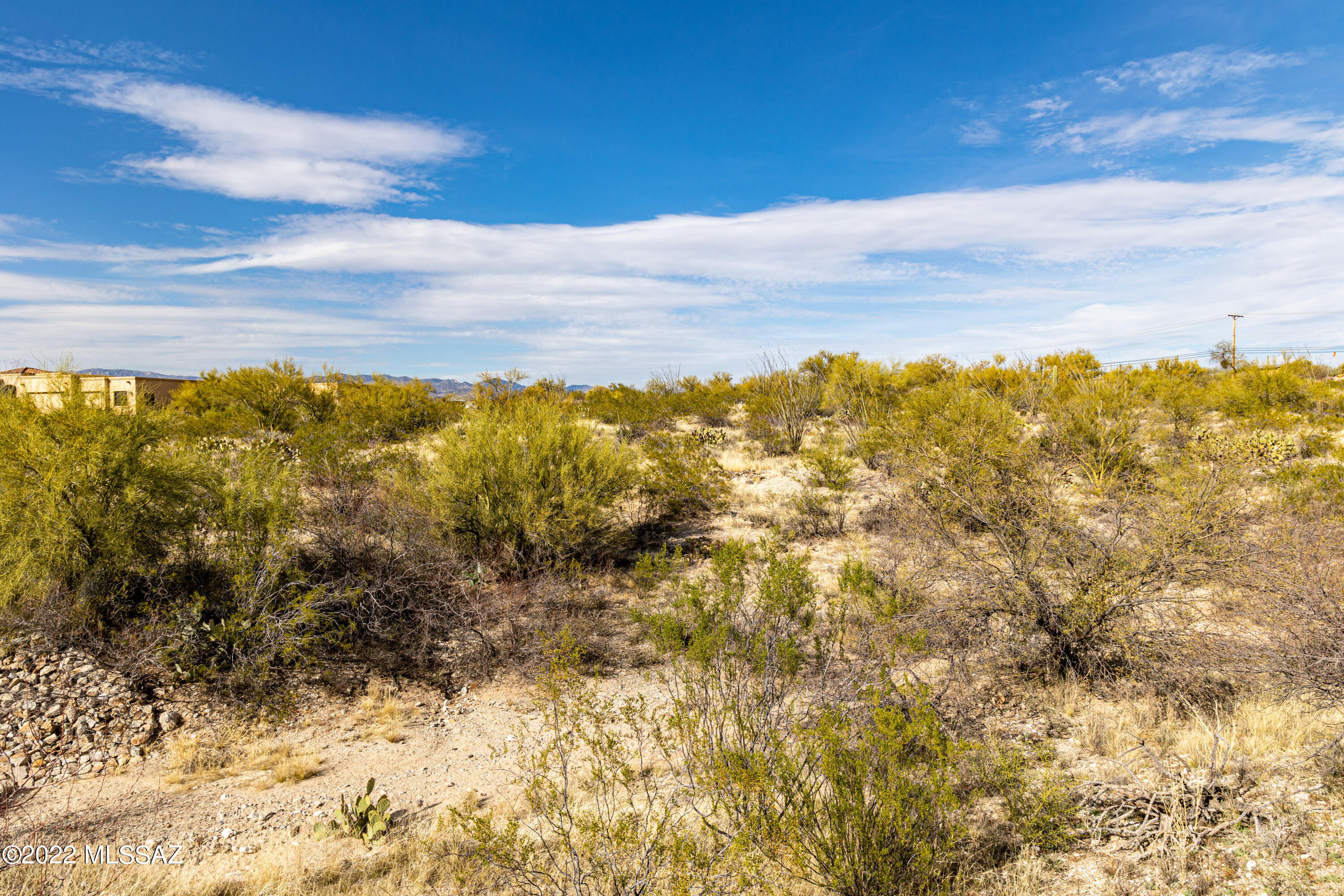 Saguaro Monument Estates - Land