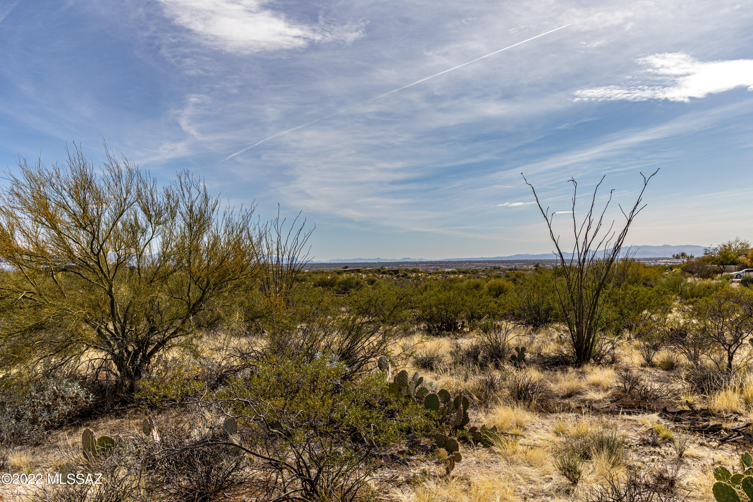 Saguaro Monument Estates - Land