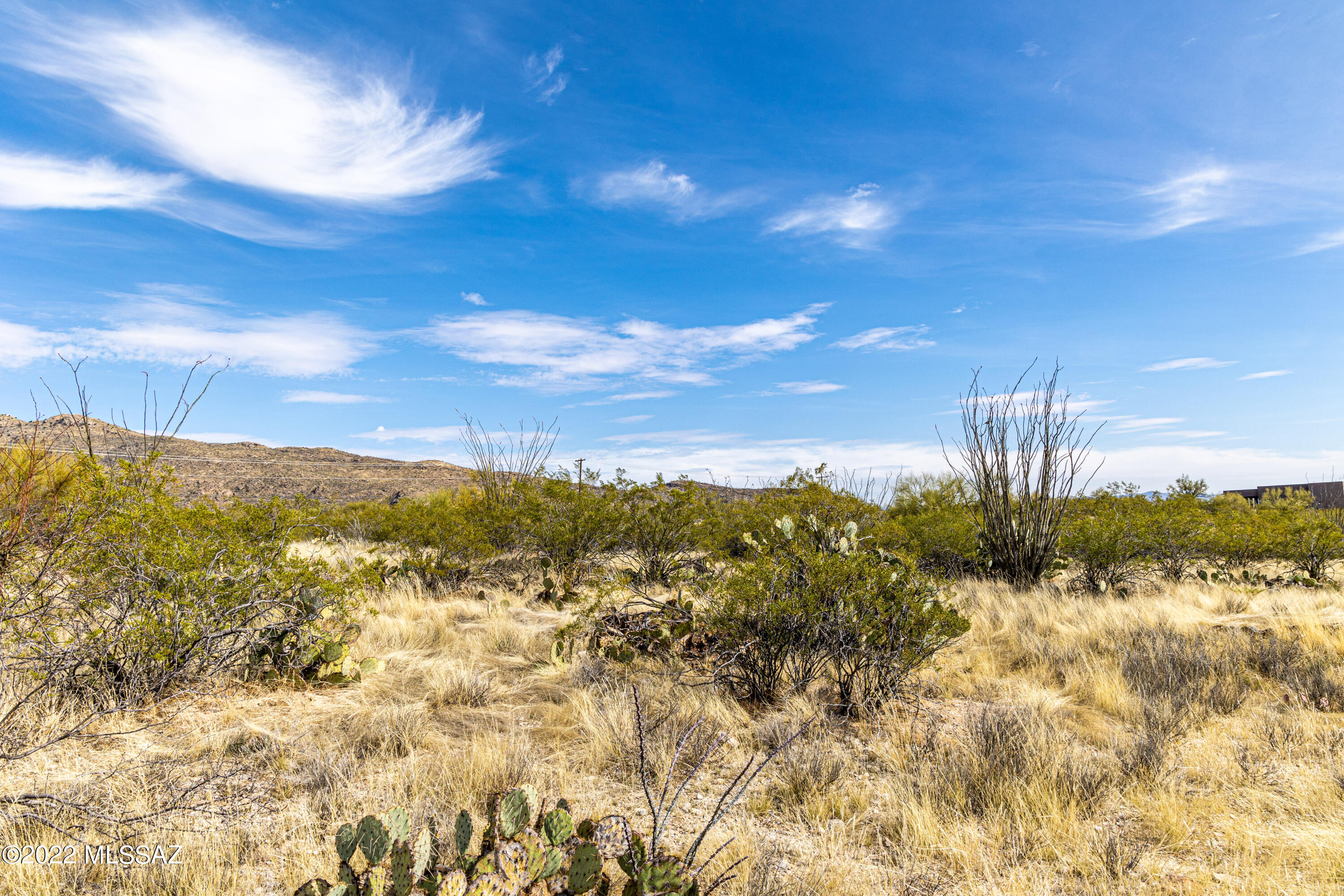 Saguaro Monument Estates - Land