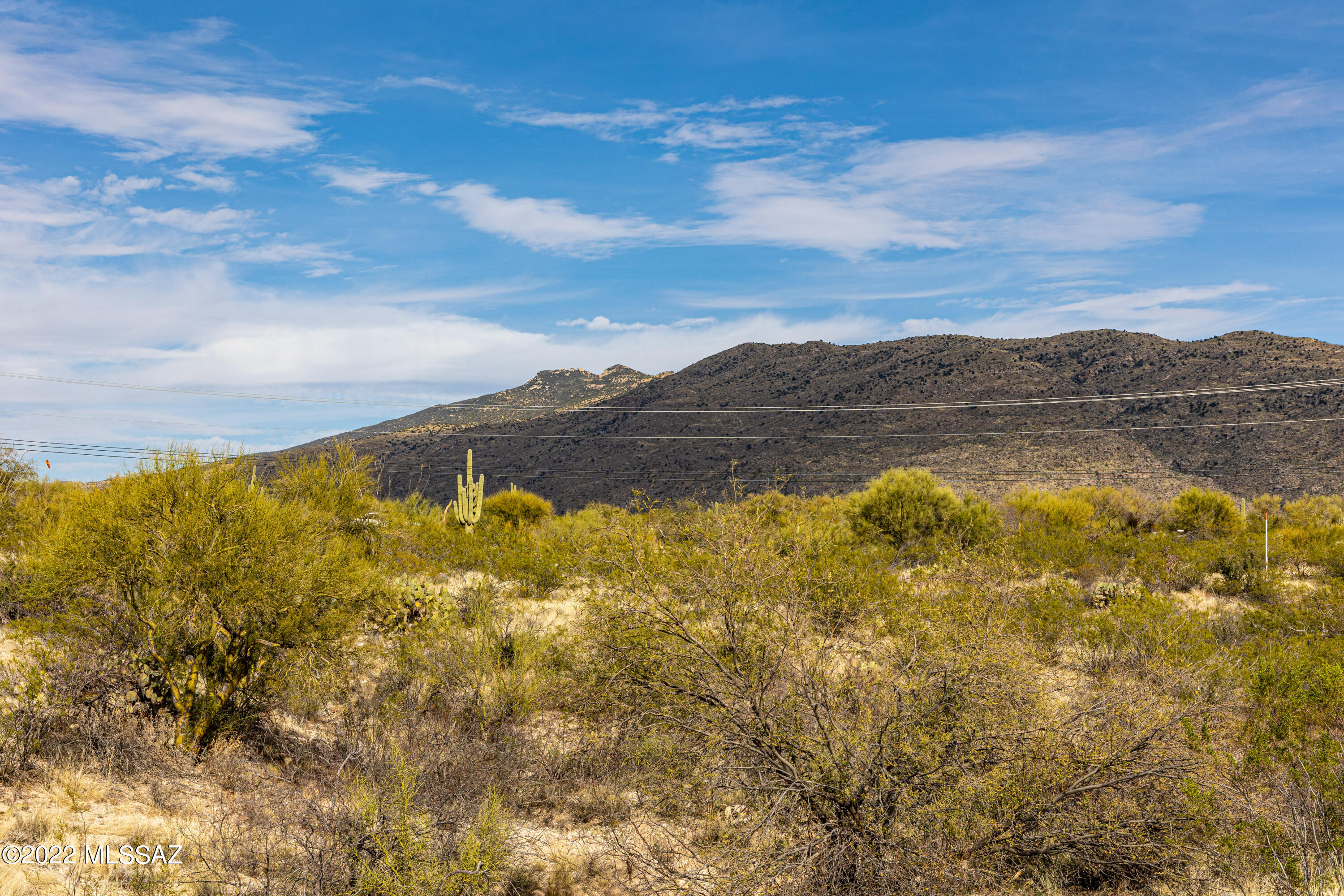 Saguaro Monument Estates - Land