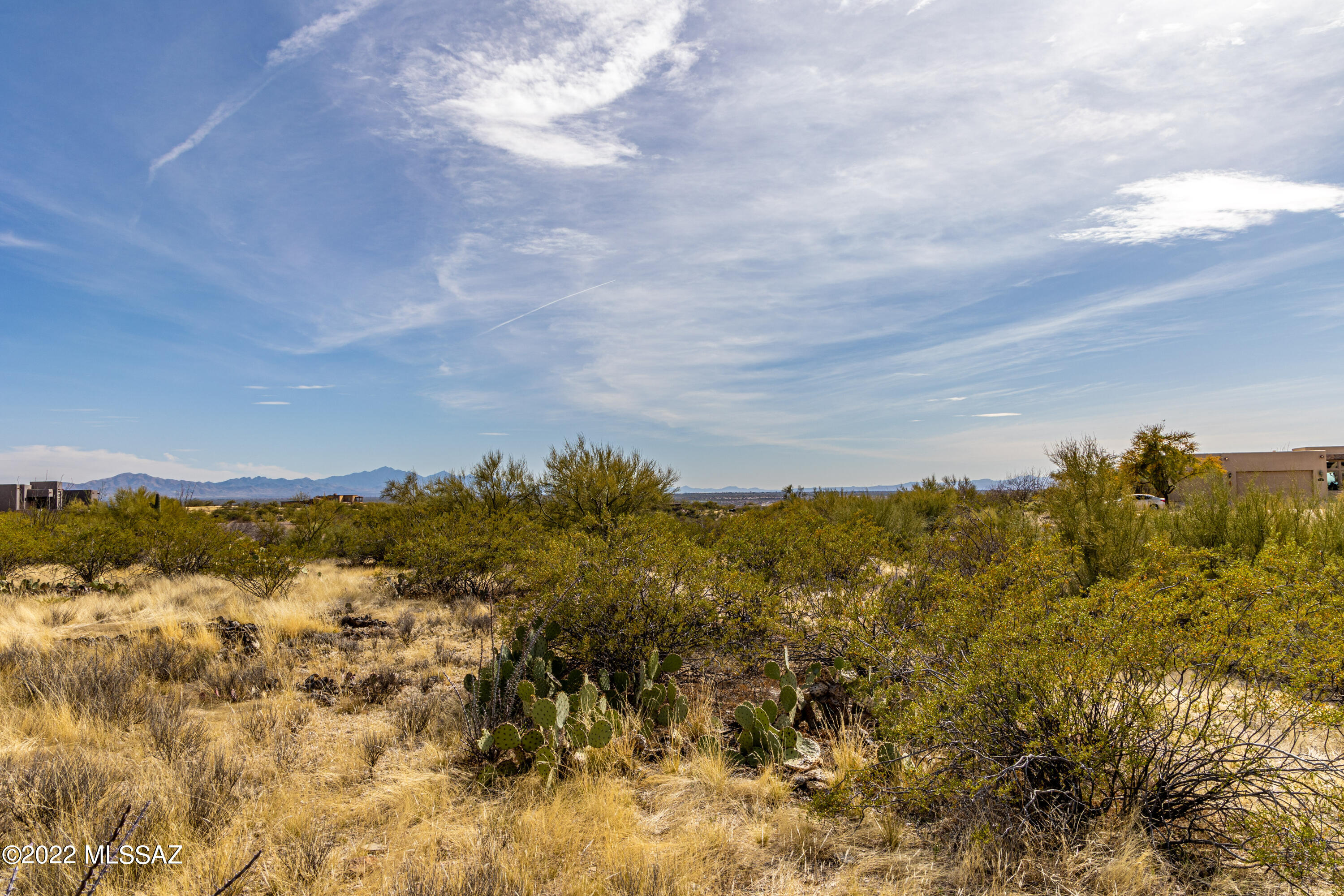 Saguaro Monument Estates - Land