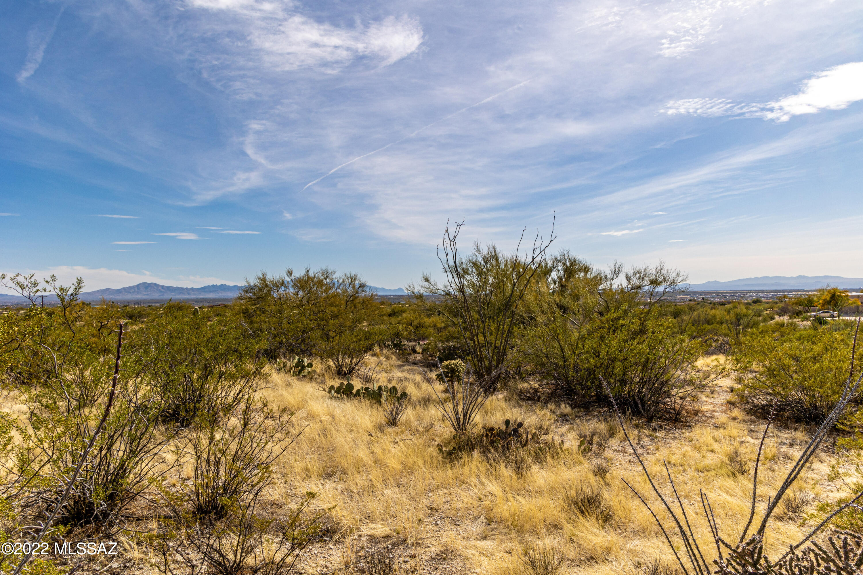 Saguaro Monument Estates - Land