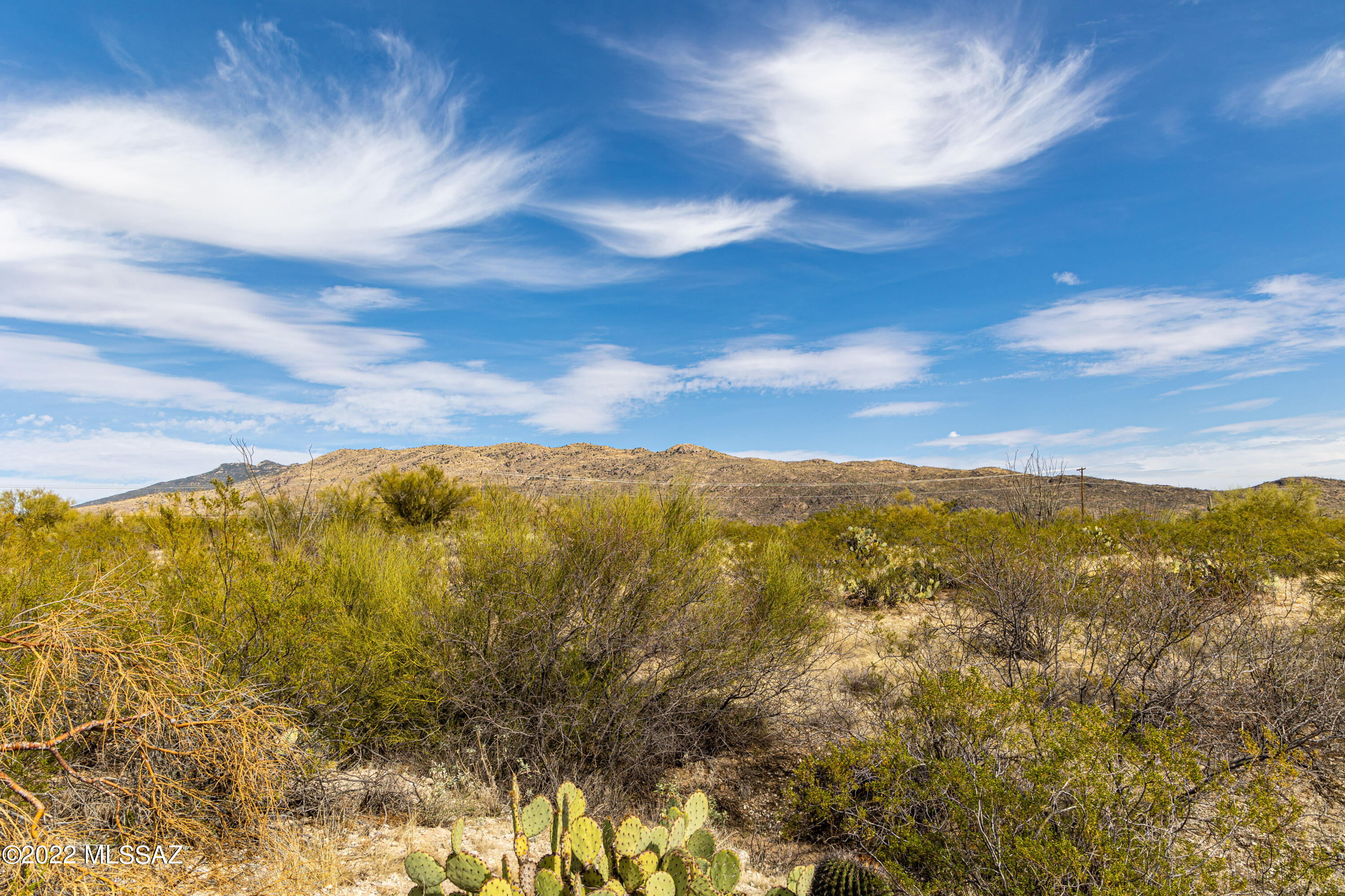 Saguaro Monument Estates - Land