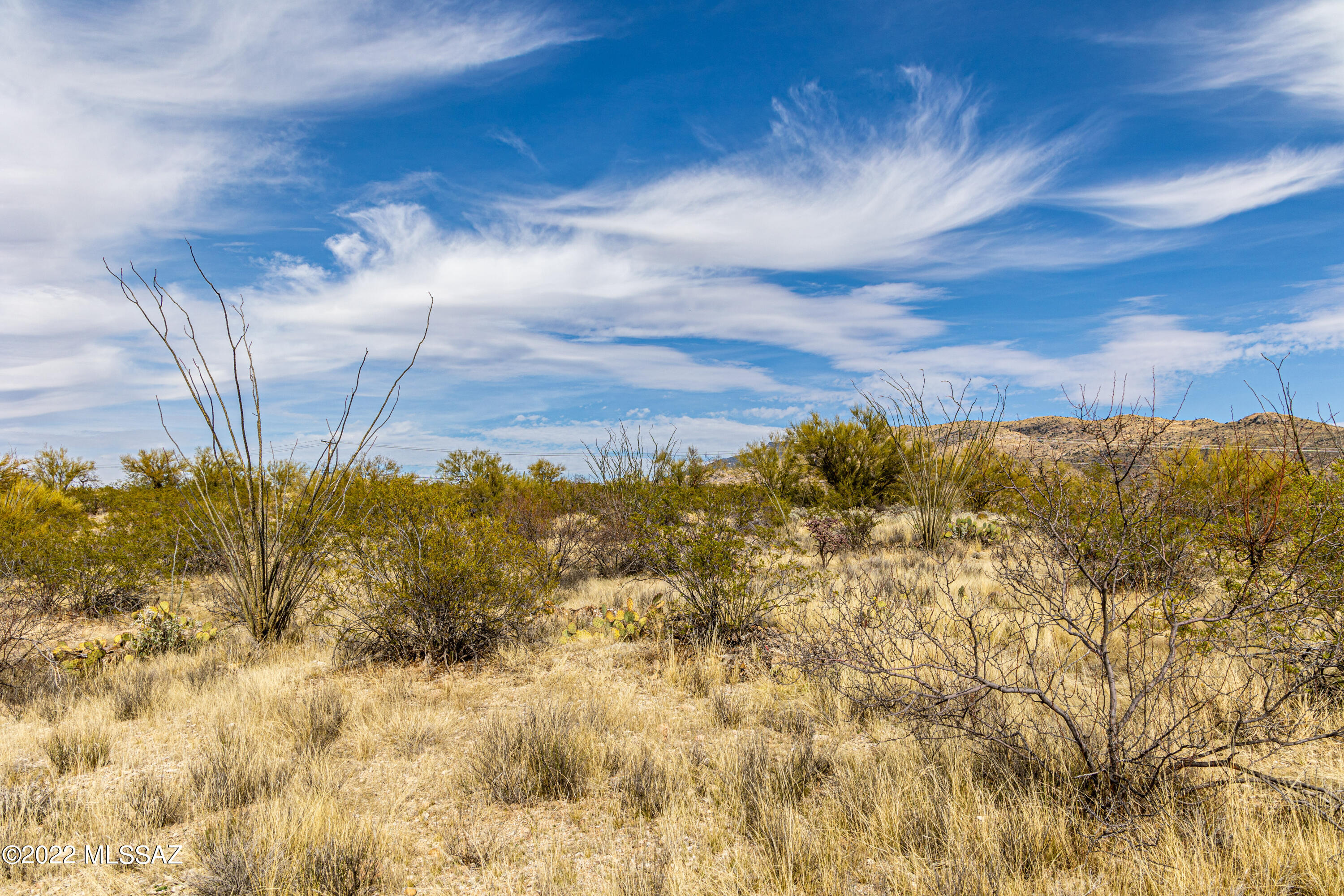 Saguaro Monument Estates - Land
