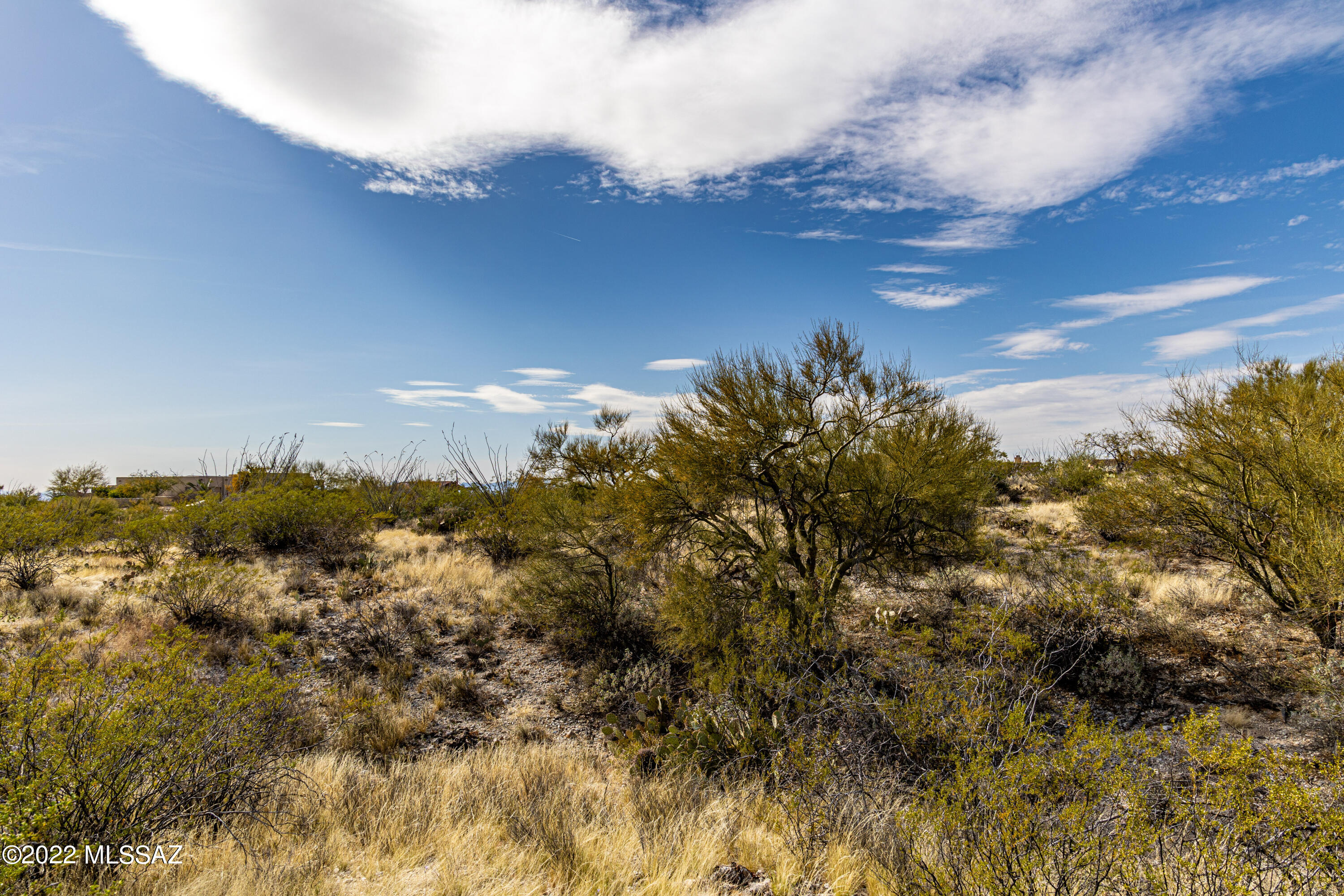 Saguaro Monument Estates - Land
