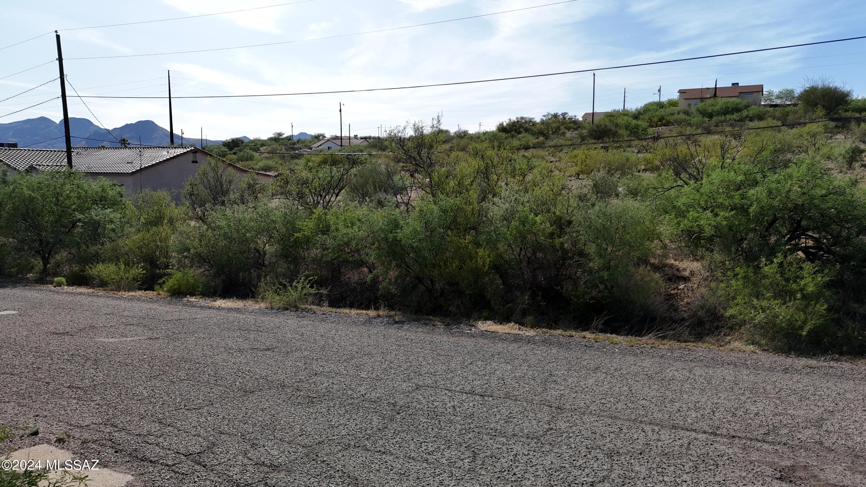 Rio Rico Villas 12 - Land