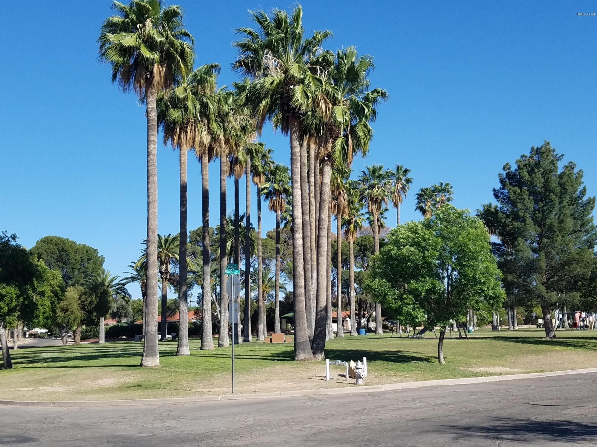 Catalina Vista - Residential Income