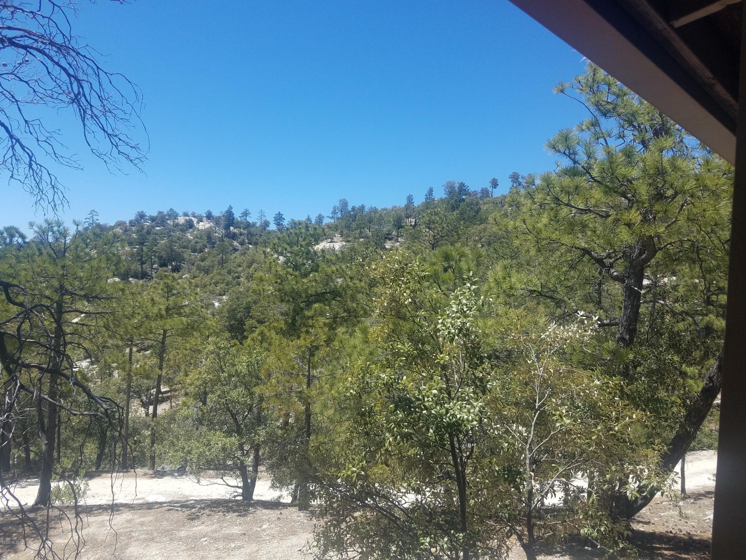 Willow Canyon - Residential
