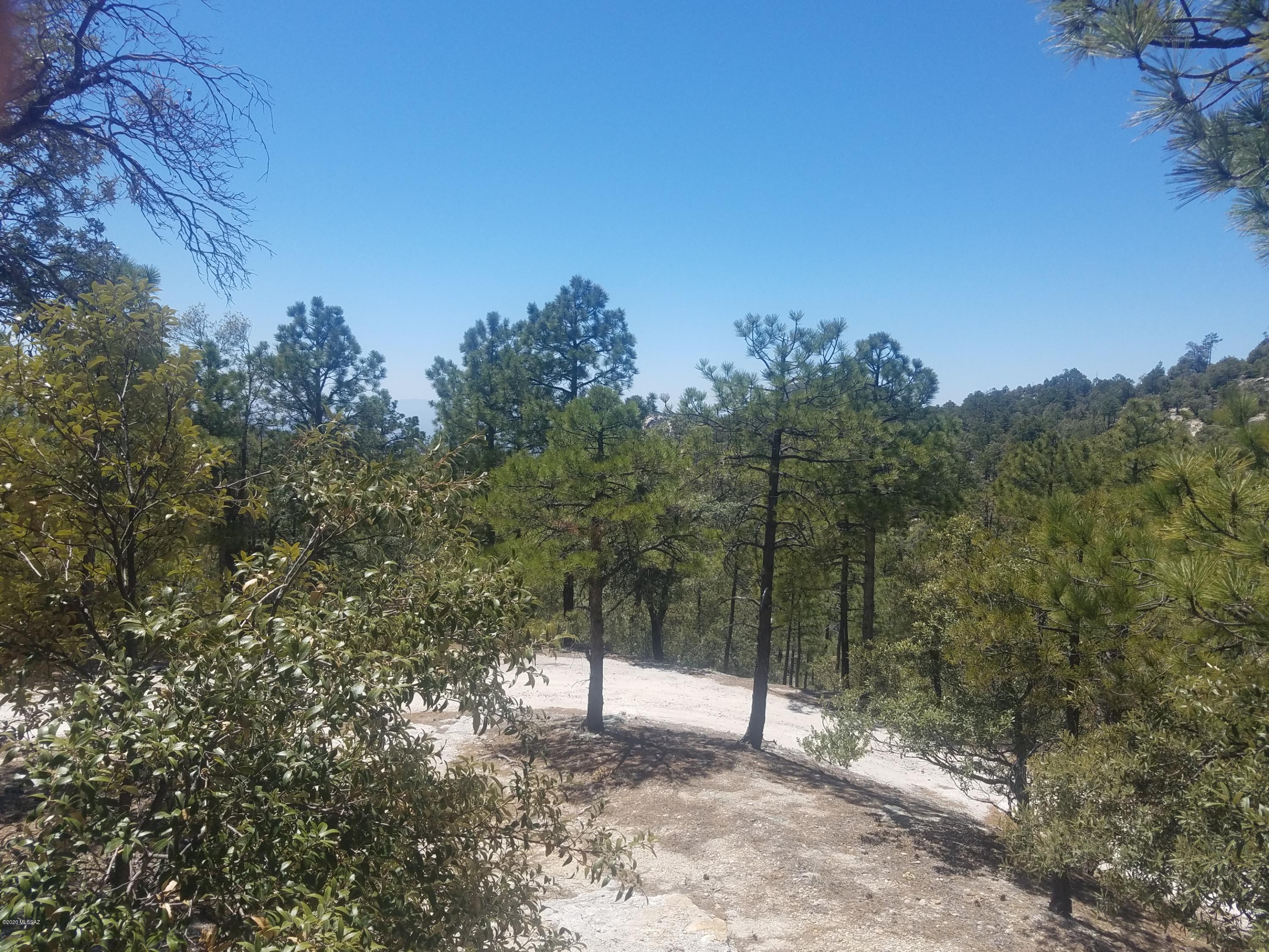 Willow Canyon - Residential