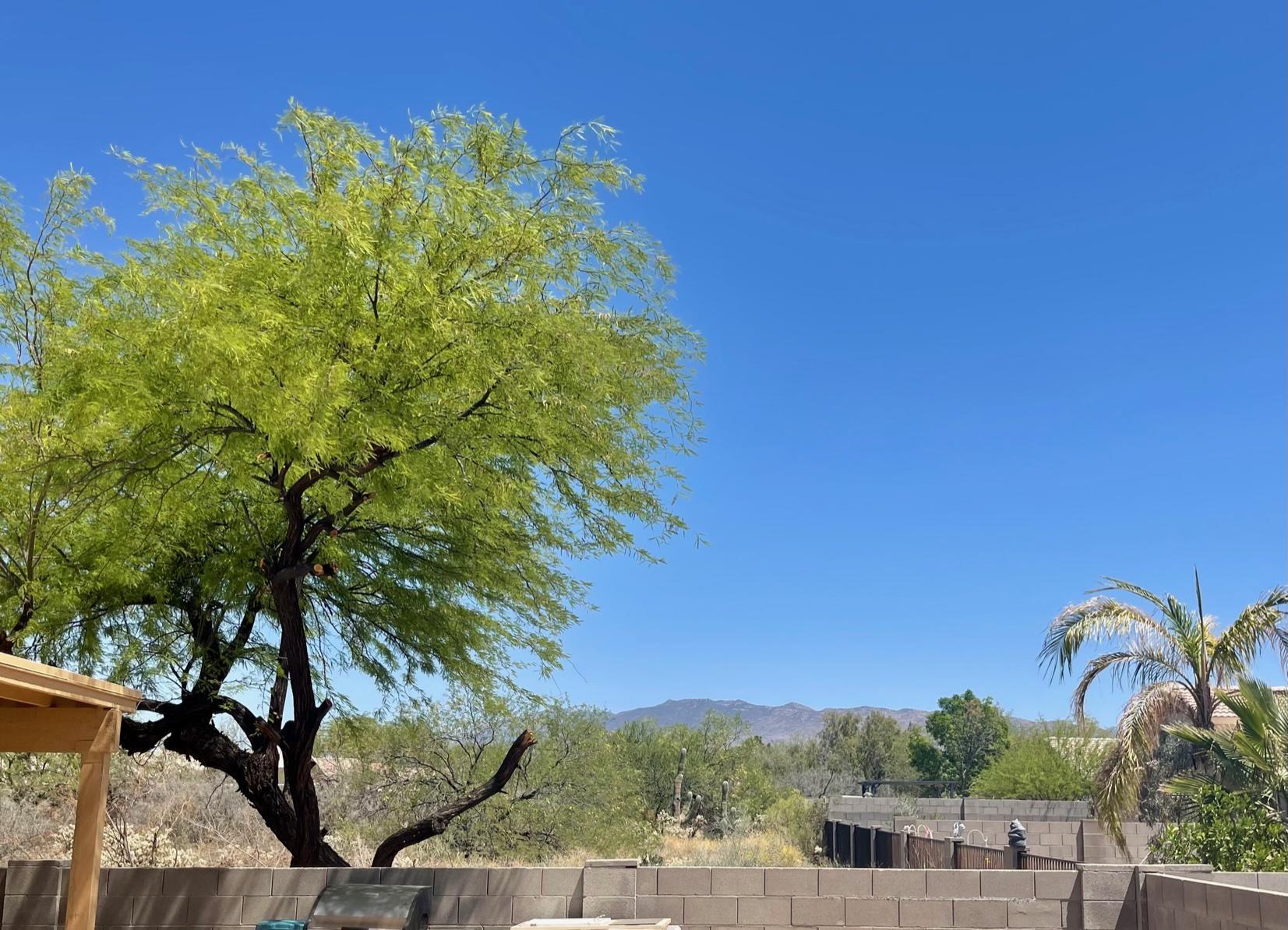 Arroyo Ridge (1 - 184) - Residential