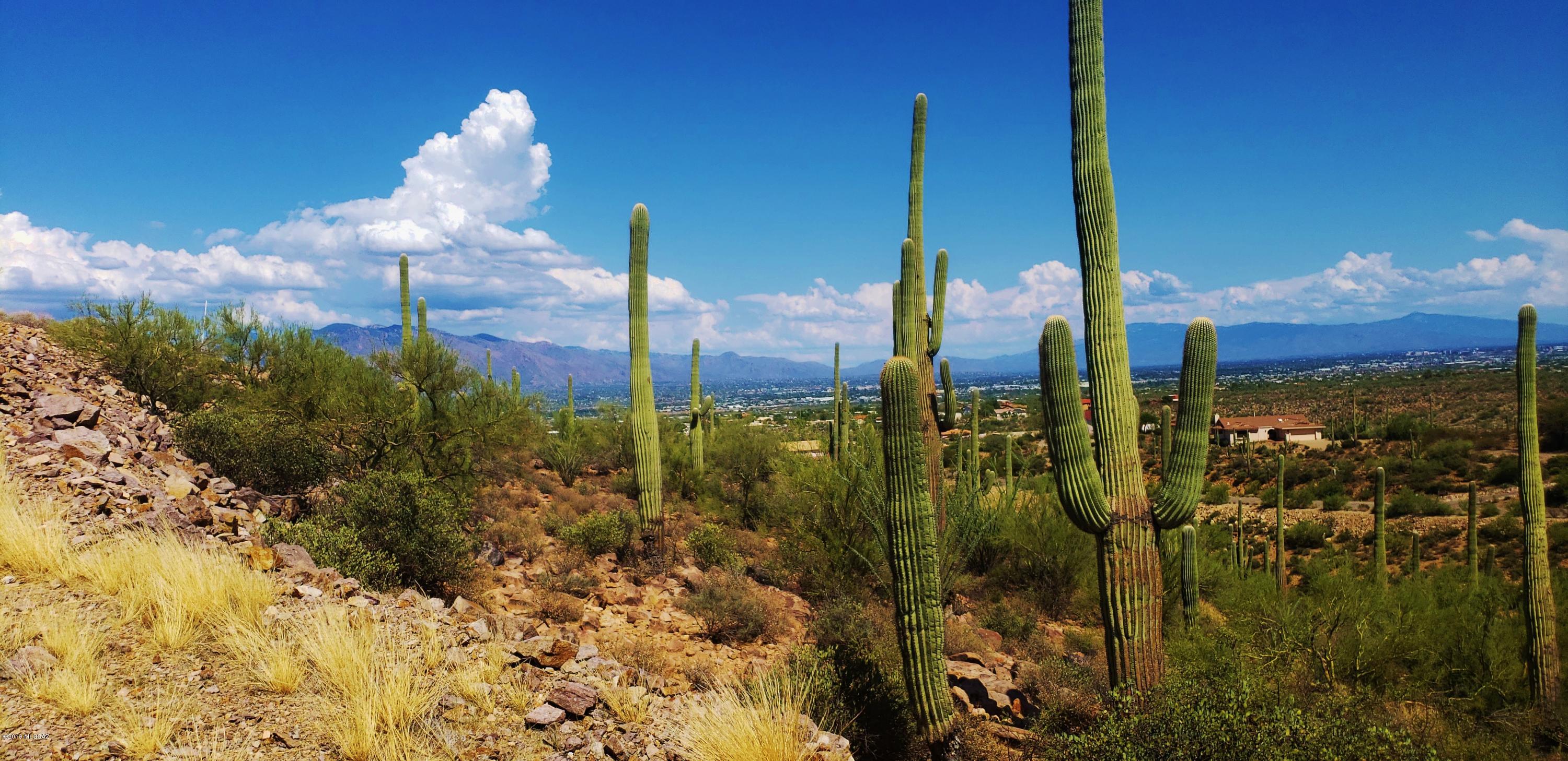 Rancho Del Cerro (340-532) - Land