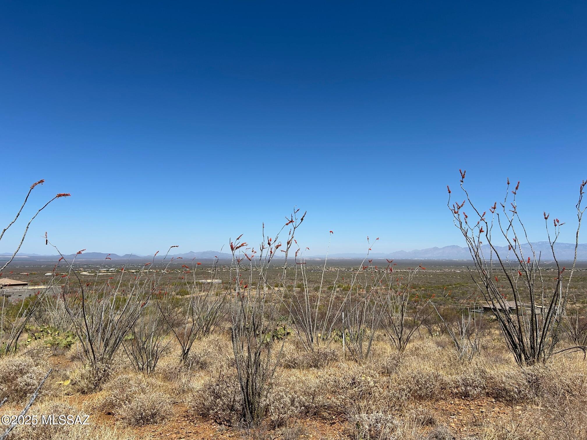 Ocotillo Preserve (1-42) - Land