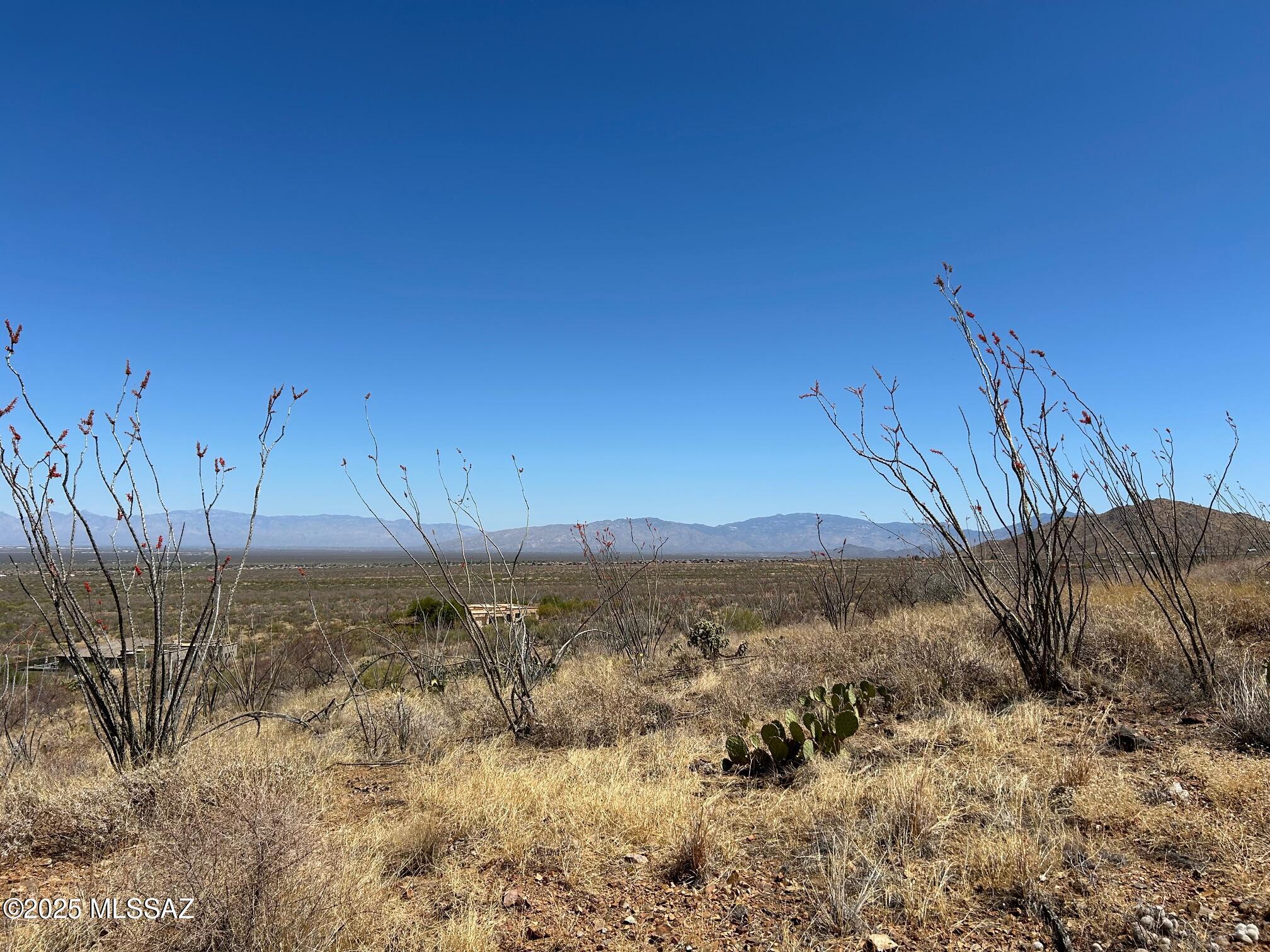 Ocotillo Preserve (1-42) - Land
