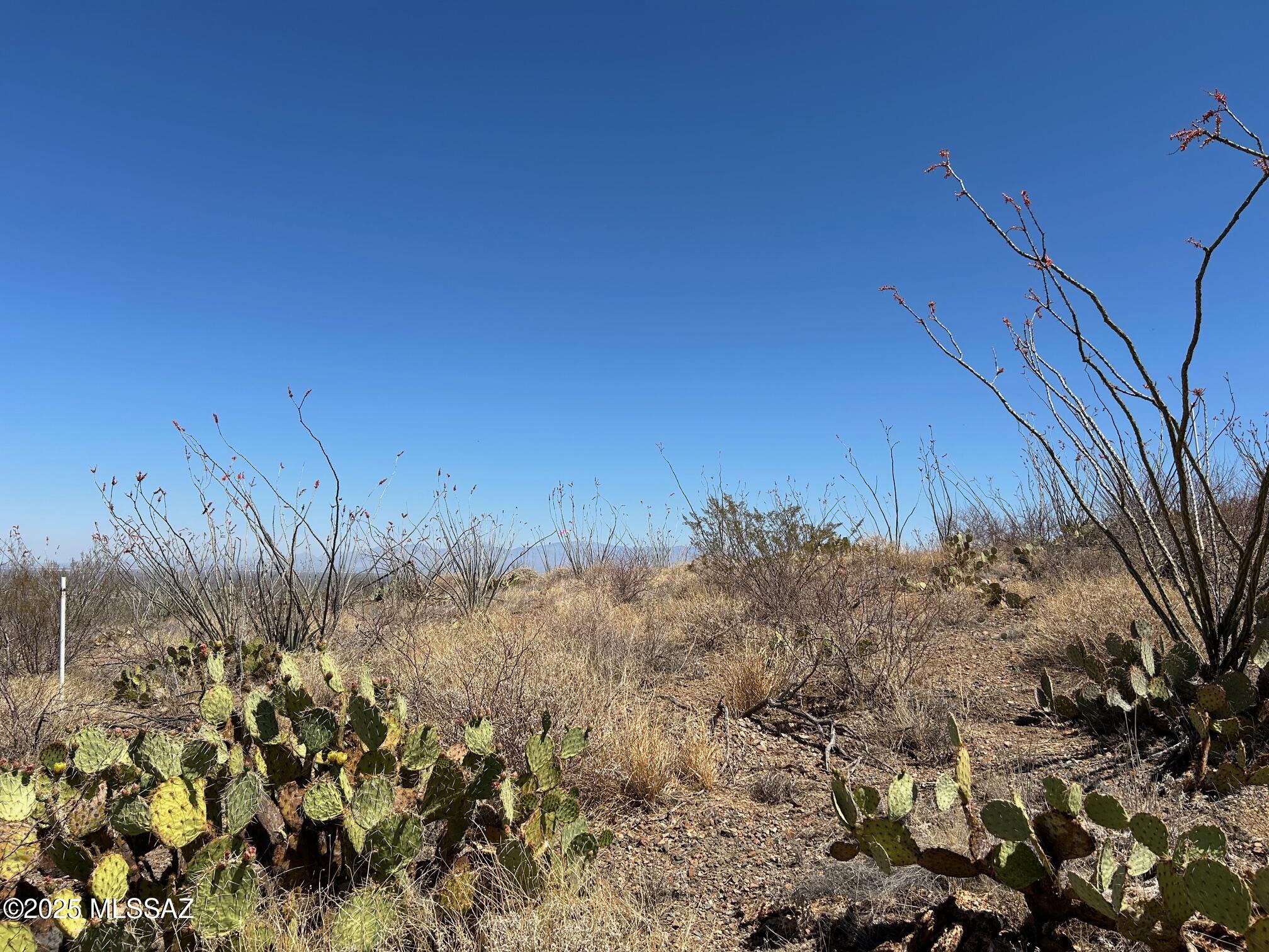 Ocotillo Preserve (1-42) - Land