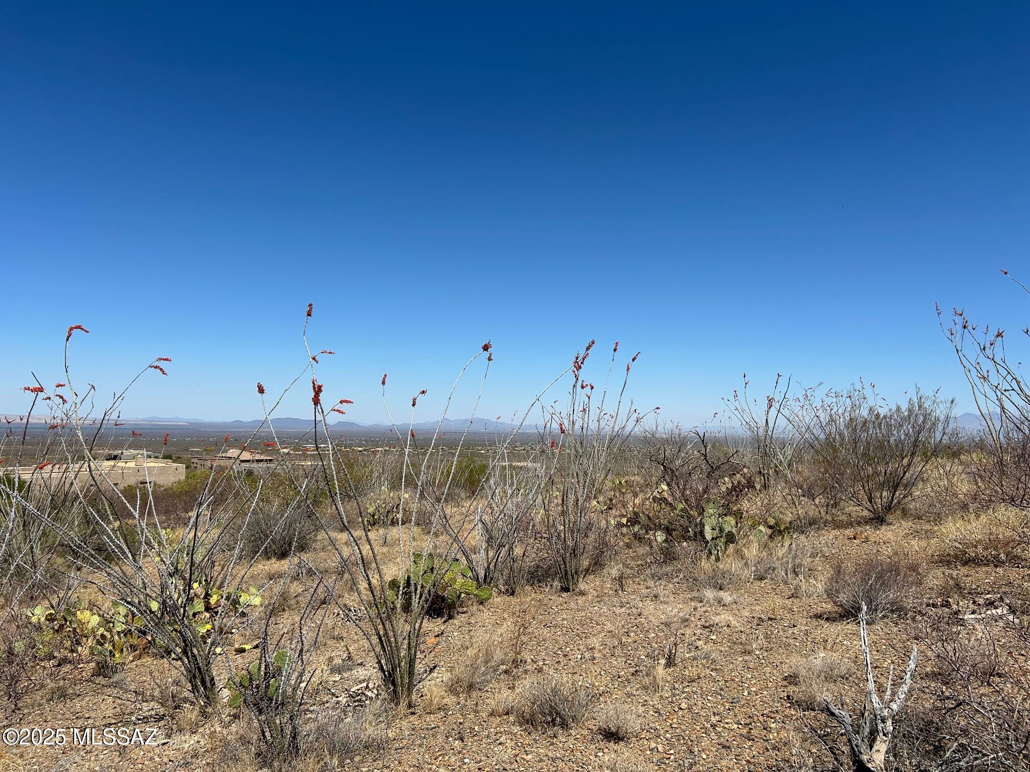 Ocotillo Preserve (1-42) - Land