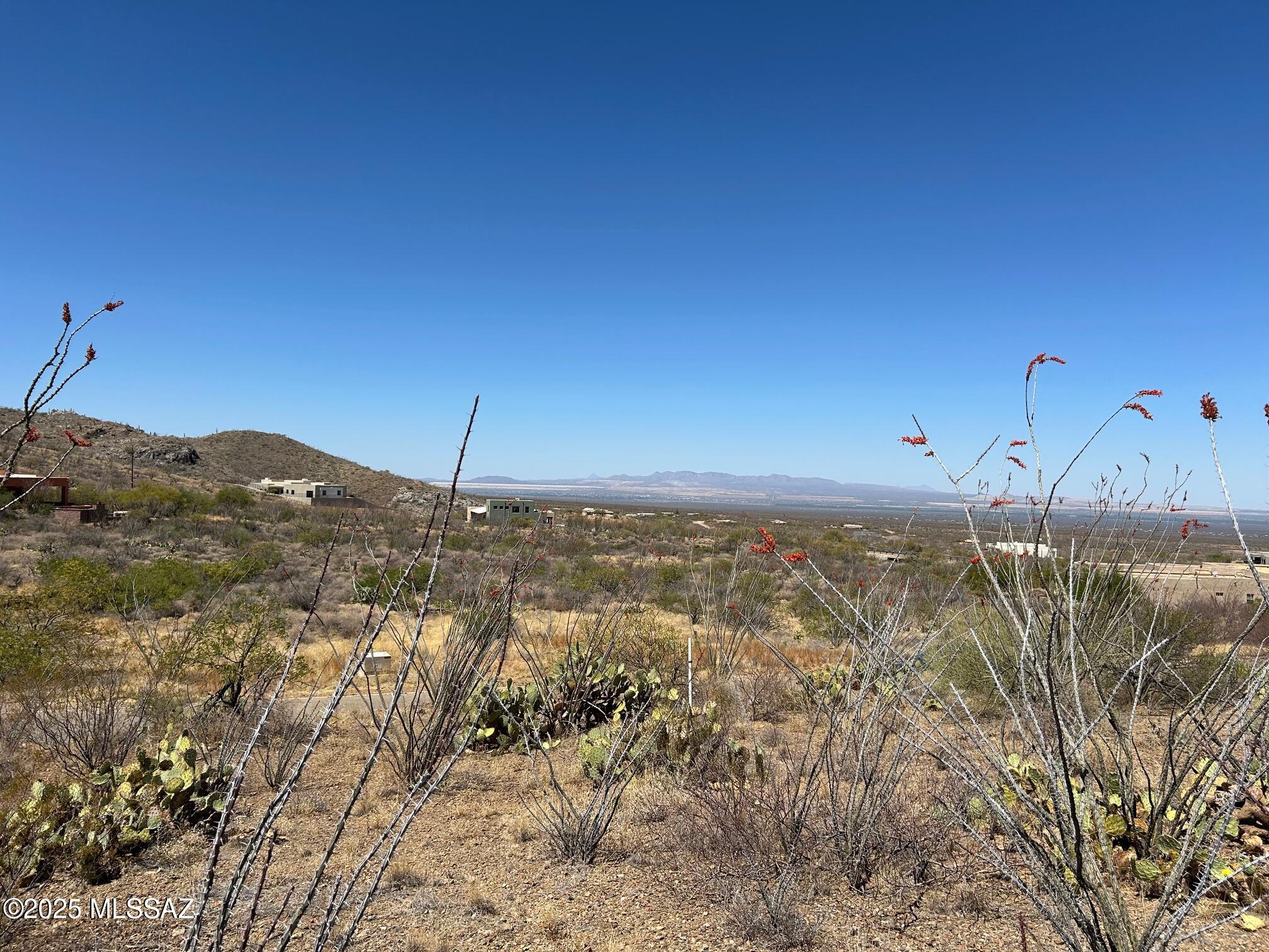 Ocotillo Preserve (1-42) - Land