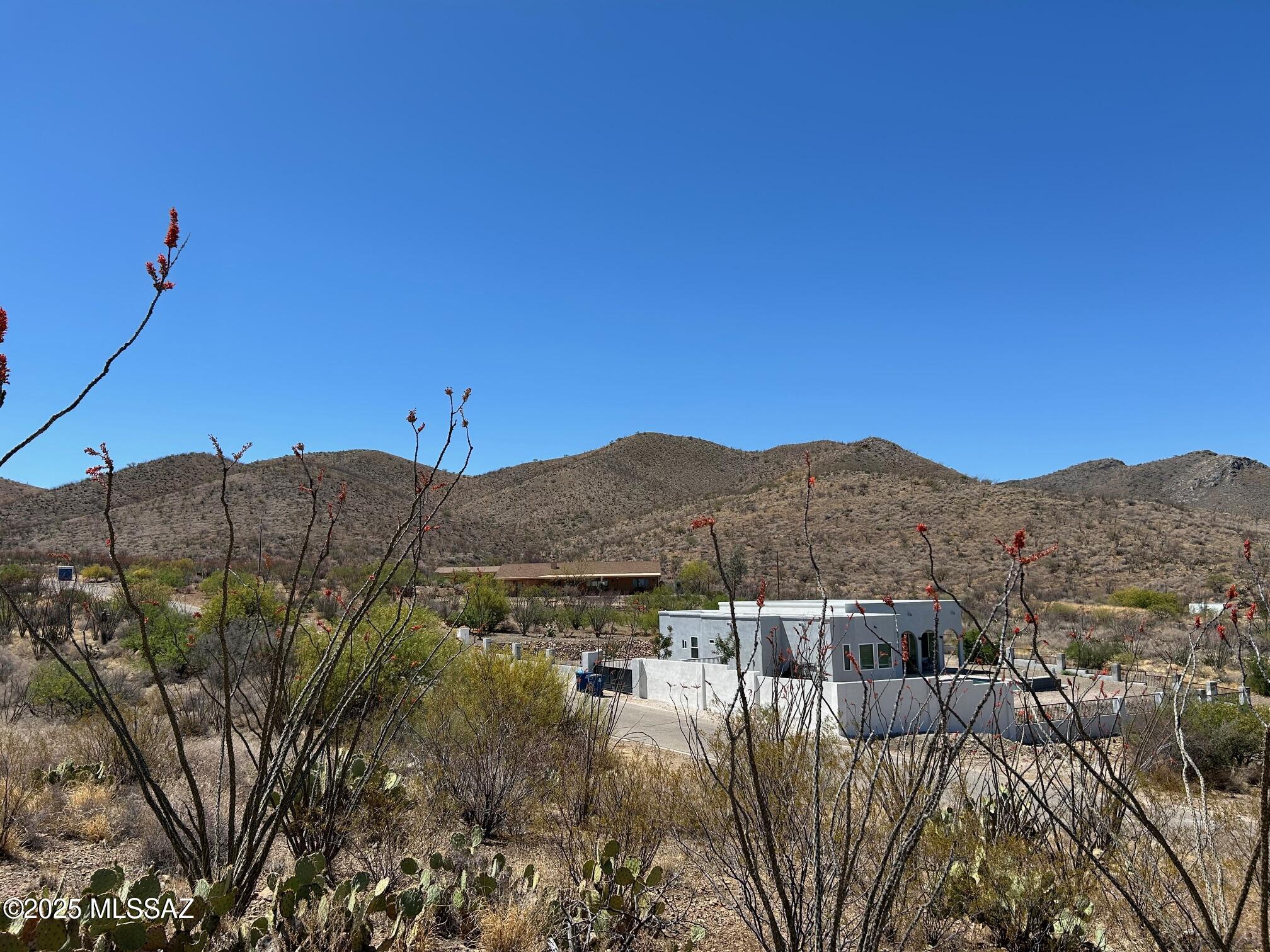 Ocotillo Preserve (1-42) - Land