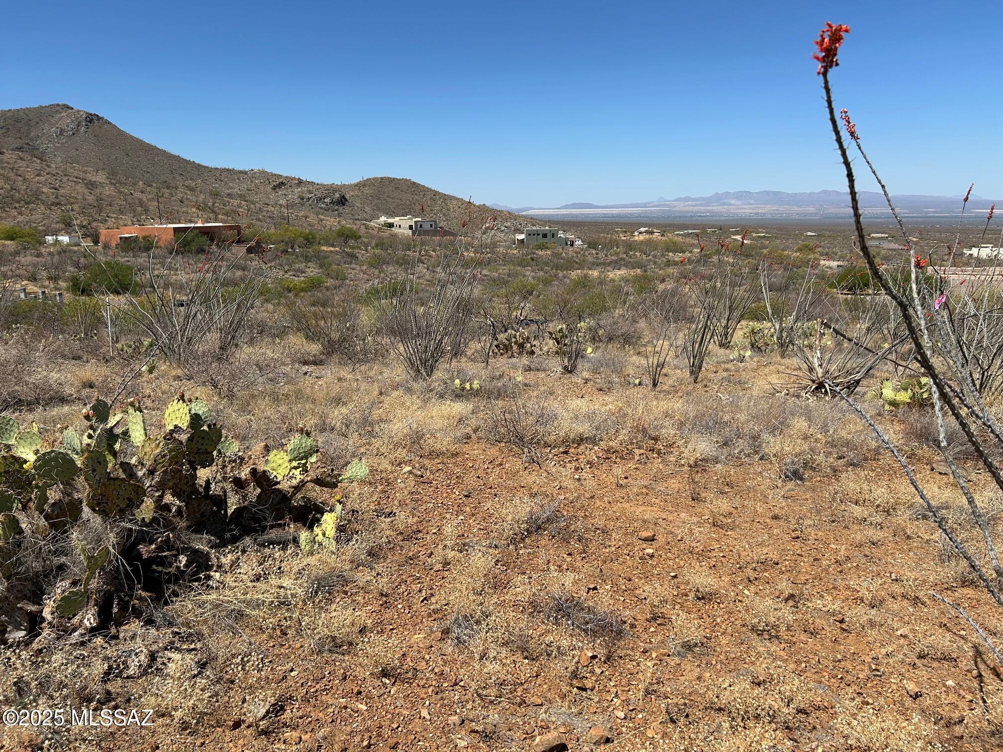 Ocotillo Preserve (1-42) - Land