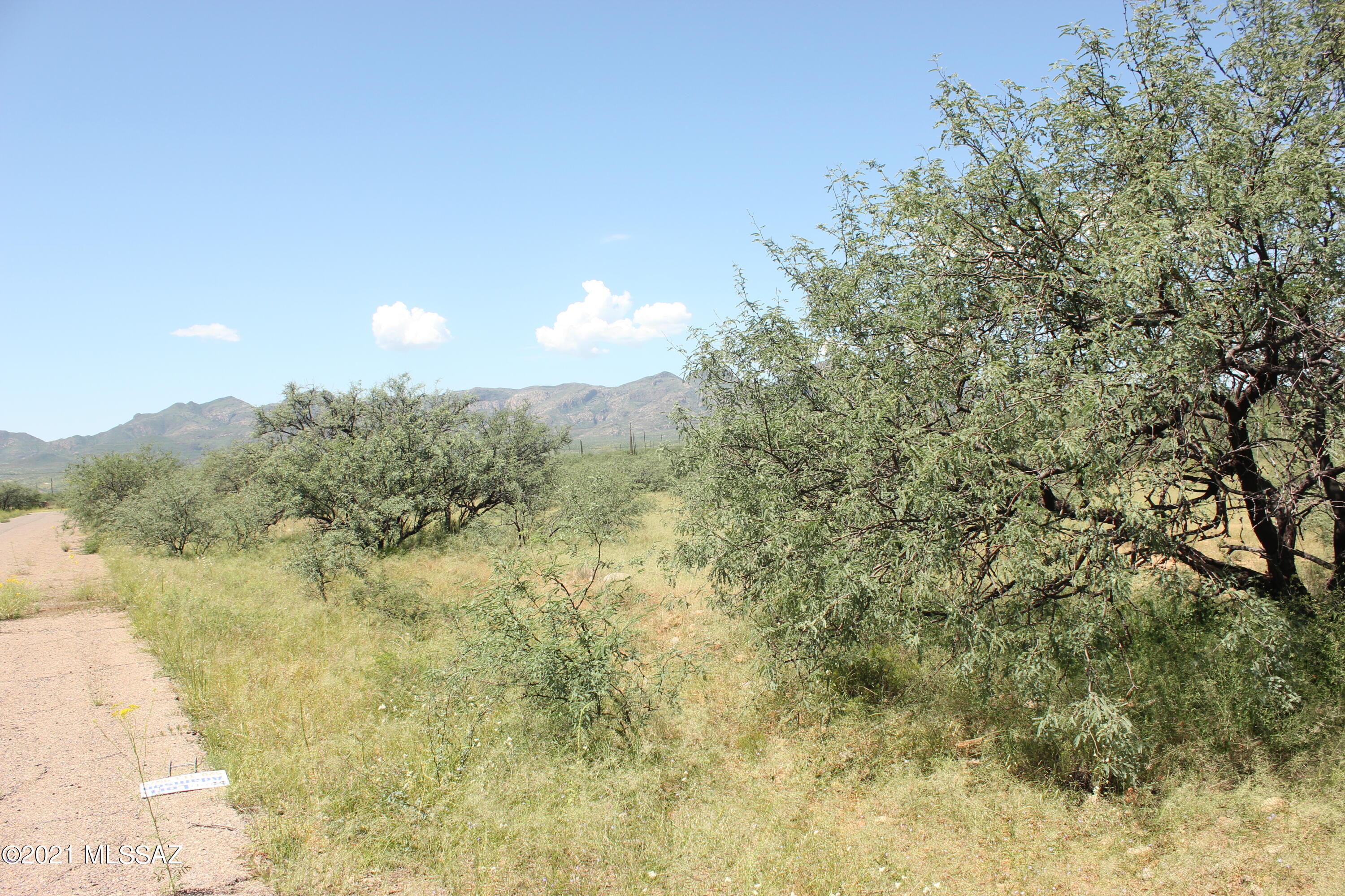 Rio Rico Villas 11 - Land