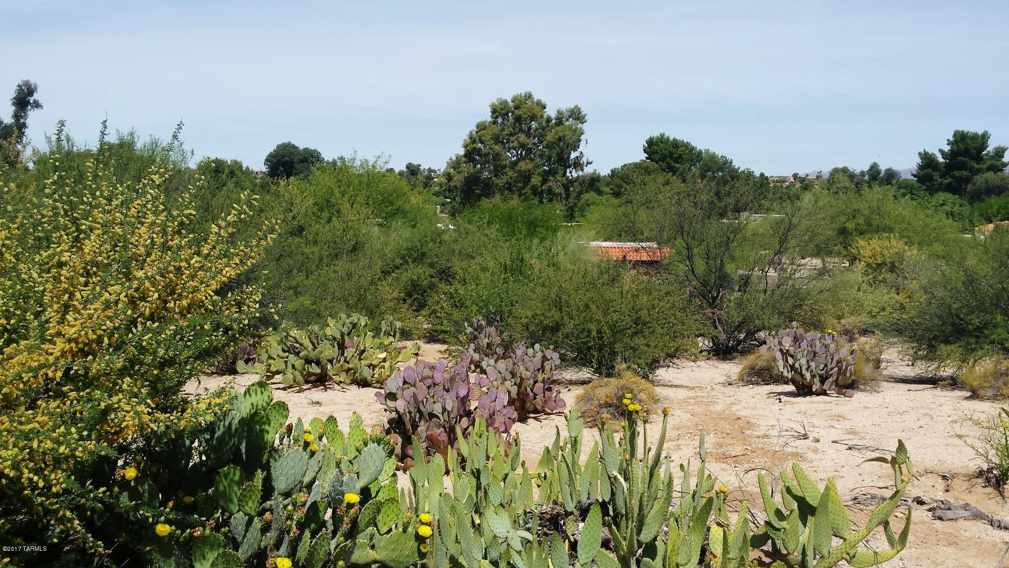 Tucson National Est - Land