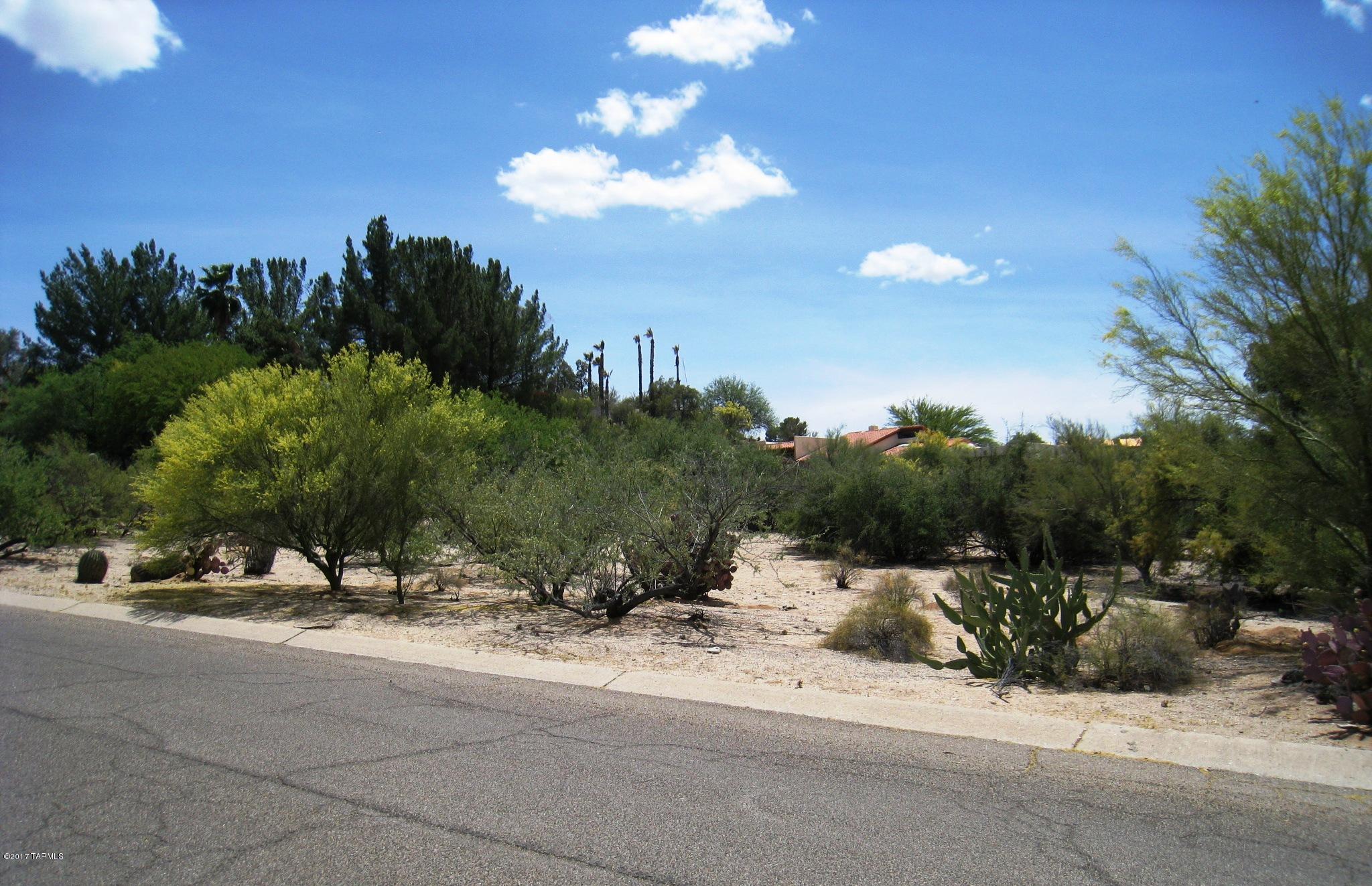 Tucson National Est - Land