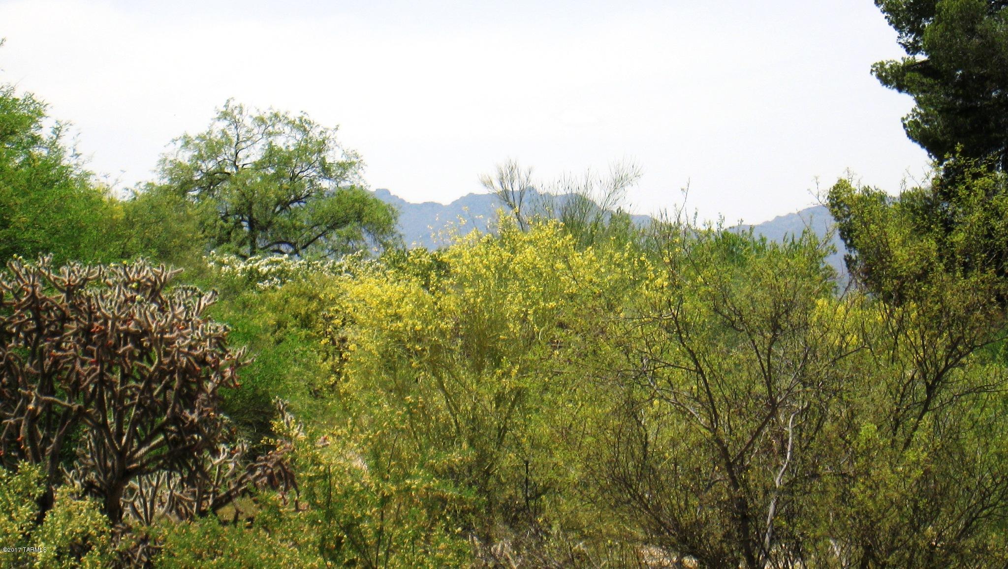 Tucson National Est - Land