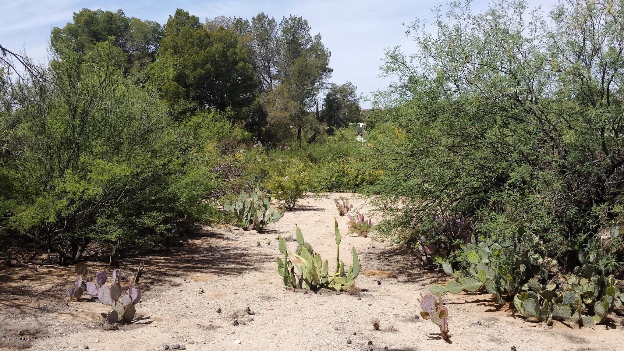 Tucson National Est - Land