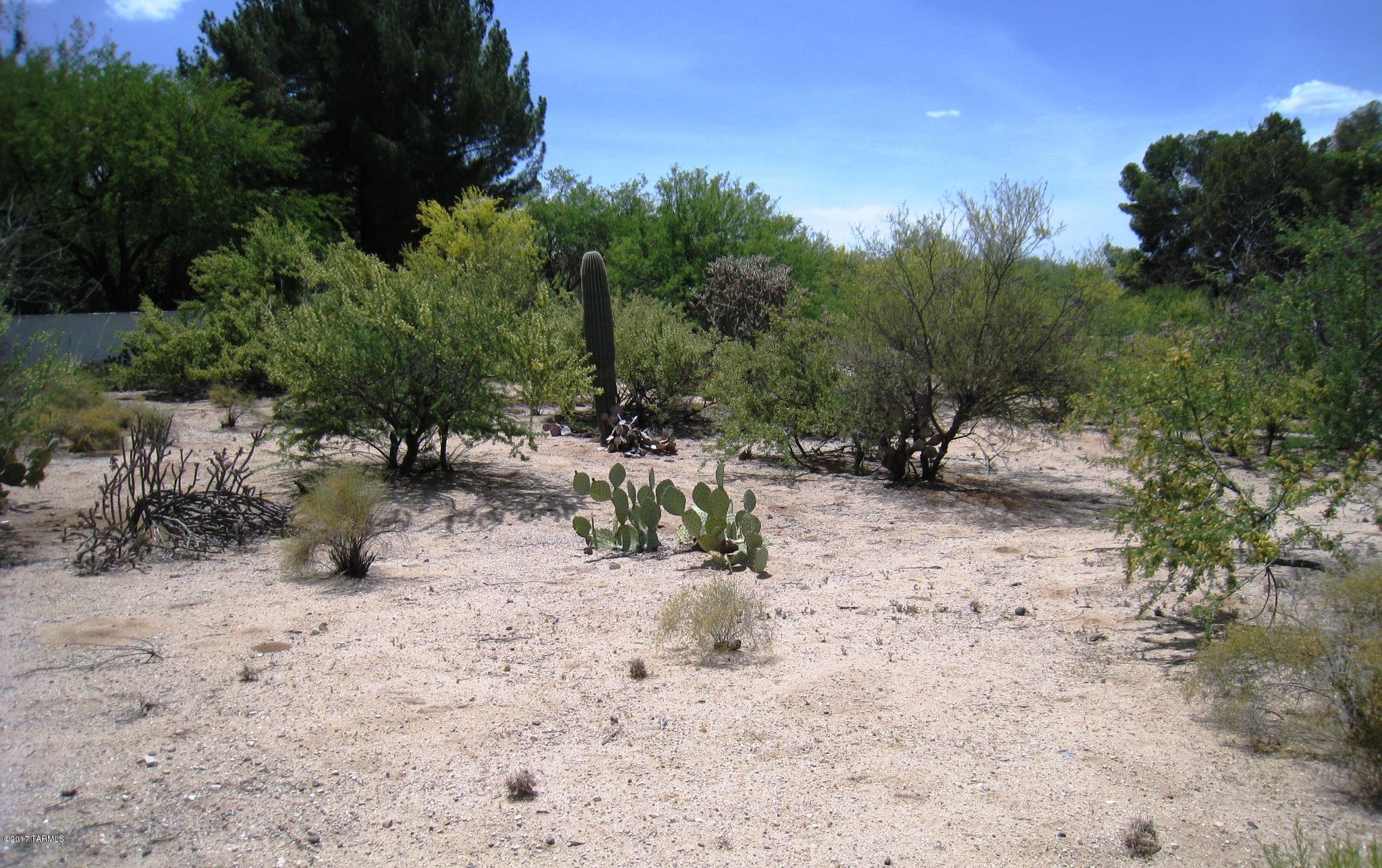 Tucson National Est - Land