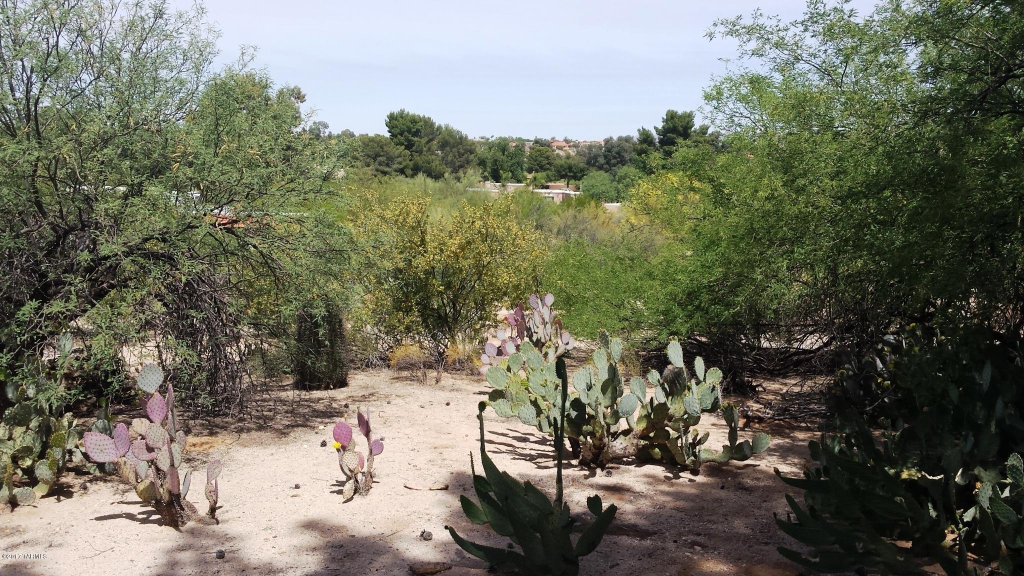 Tucson National Est - Land