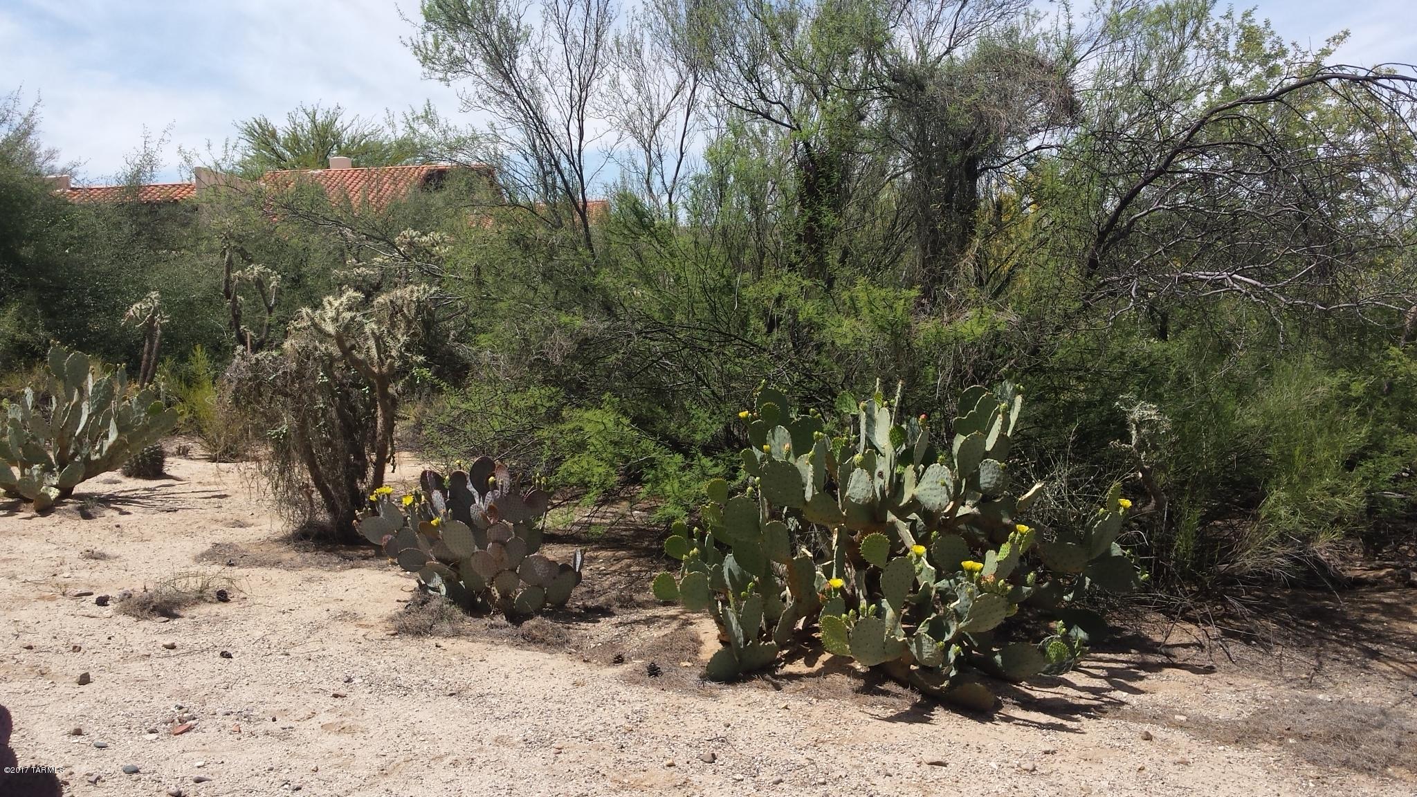 Tucson National Est - Land