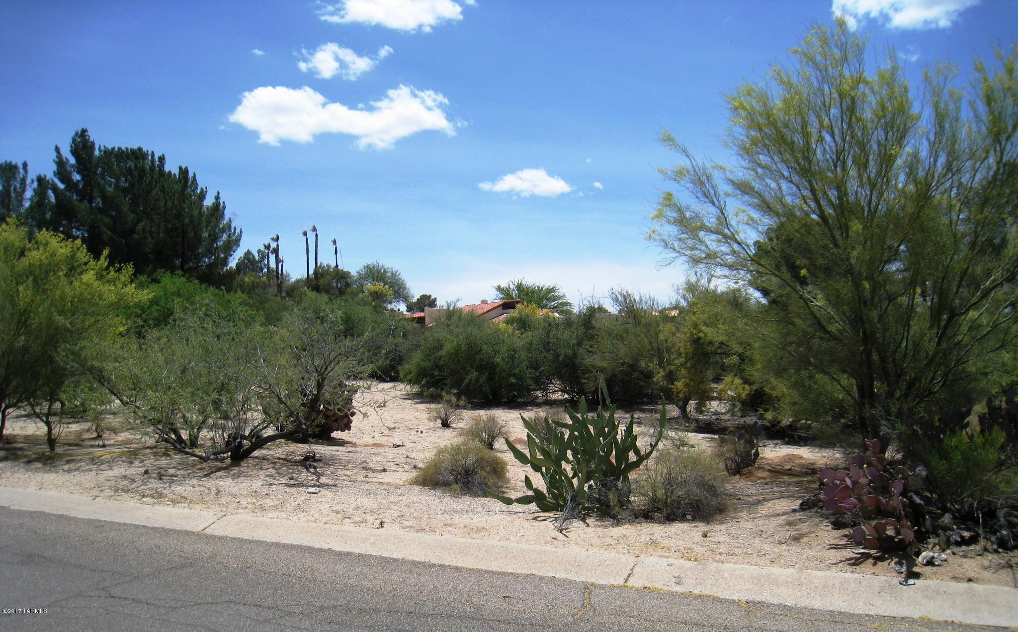 Tucson National Est - Land