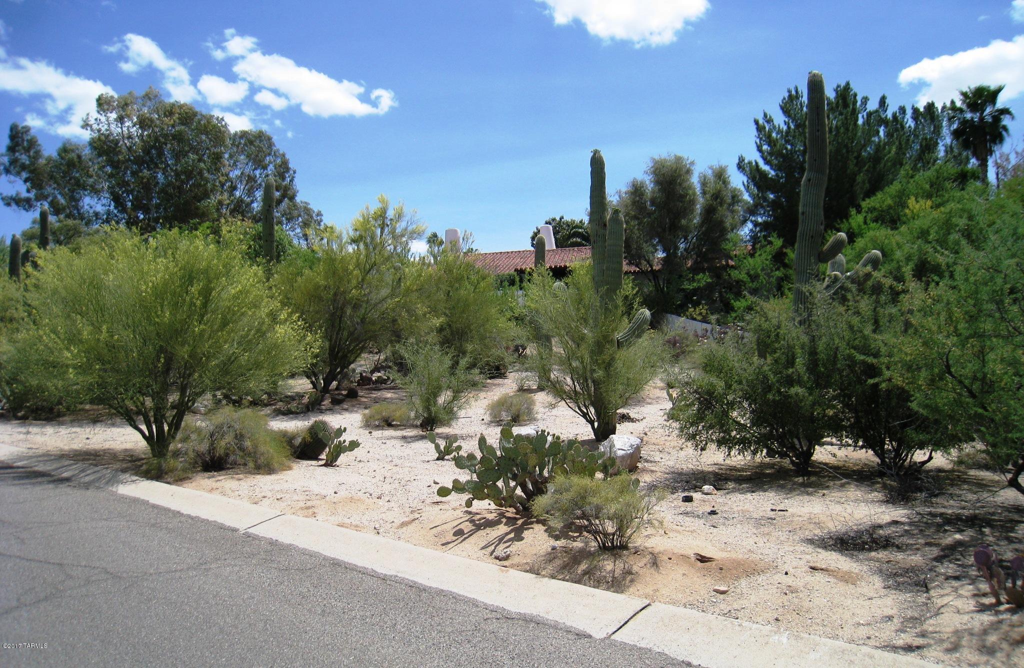 Tucson National Est - Land