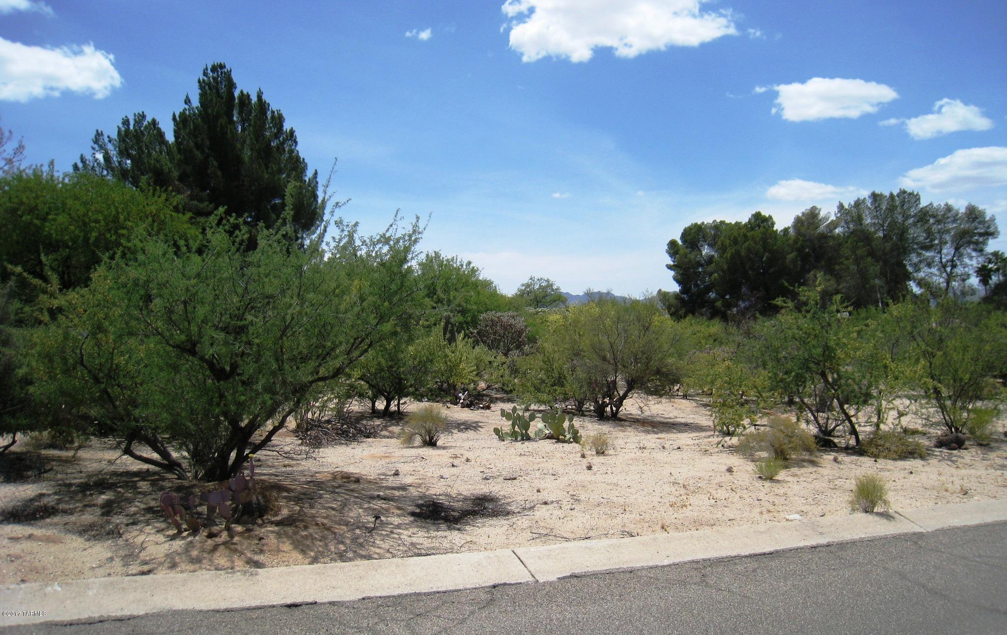 Tucson National Est - Land
