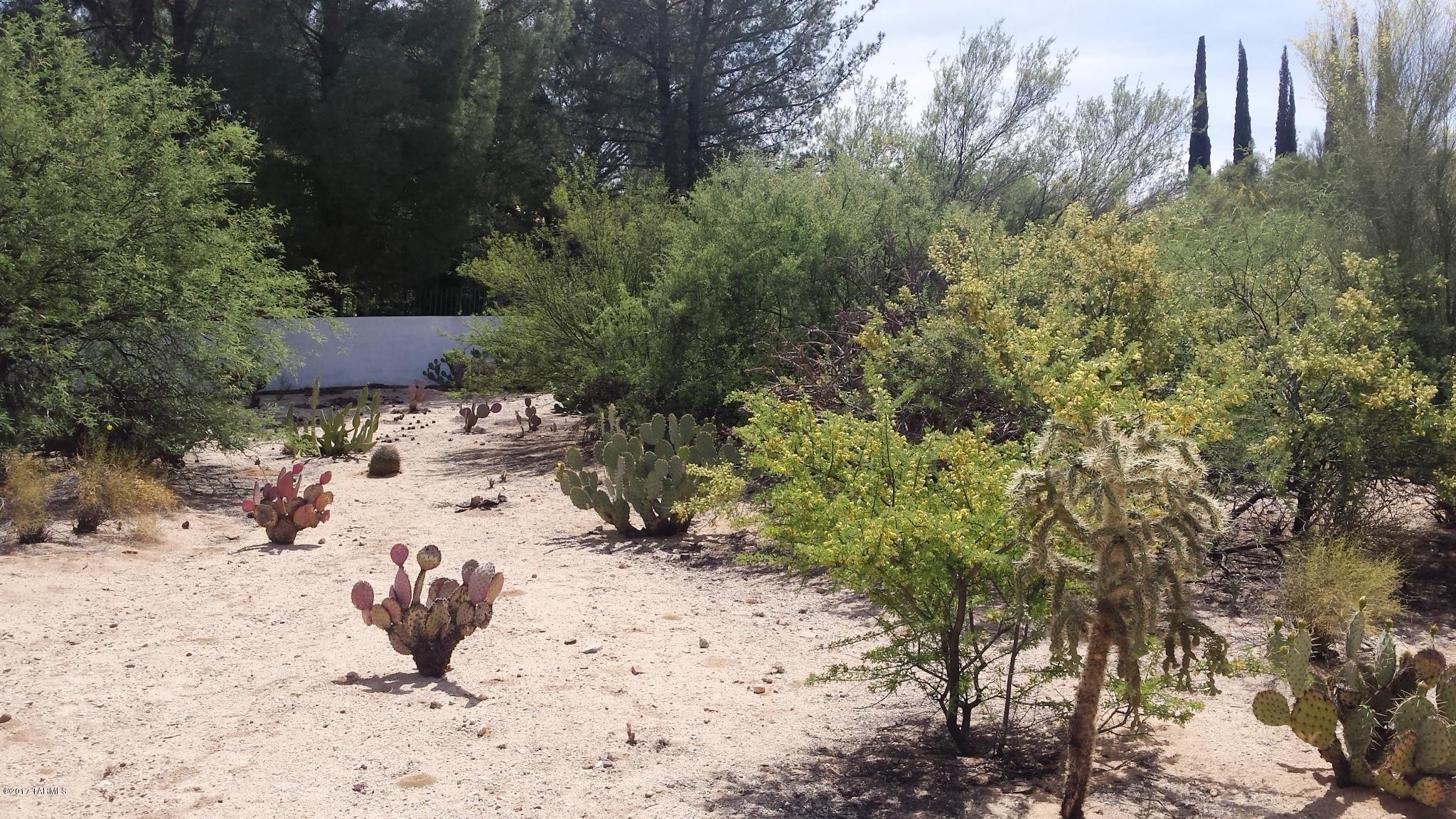 Tucson National Est - Land