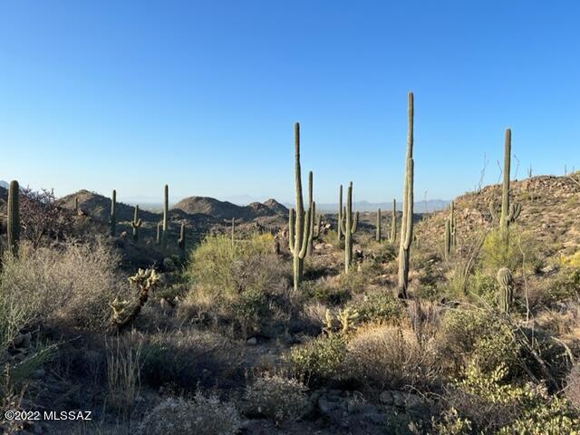 This property is an incredible find! 
 Phenomenal mountain views of Pusch Ridge, Tucson and Tortolita Mountains plus downtown city lights - all in the protected, exclusive Saguaro Ranch.  Surrounded by the lush Sonoran Desert with thousands of saguaros and abundant wildlife, this is an opportunity to make paradise your home.
The homesite has a short driveway and is an easy build.