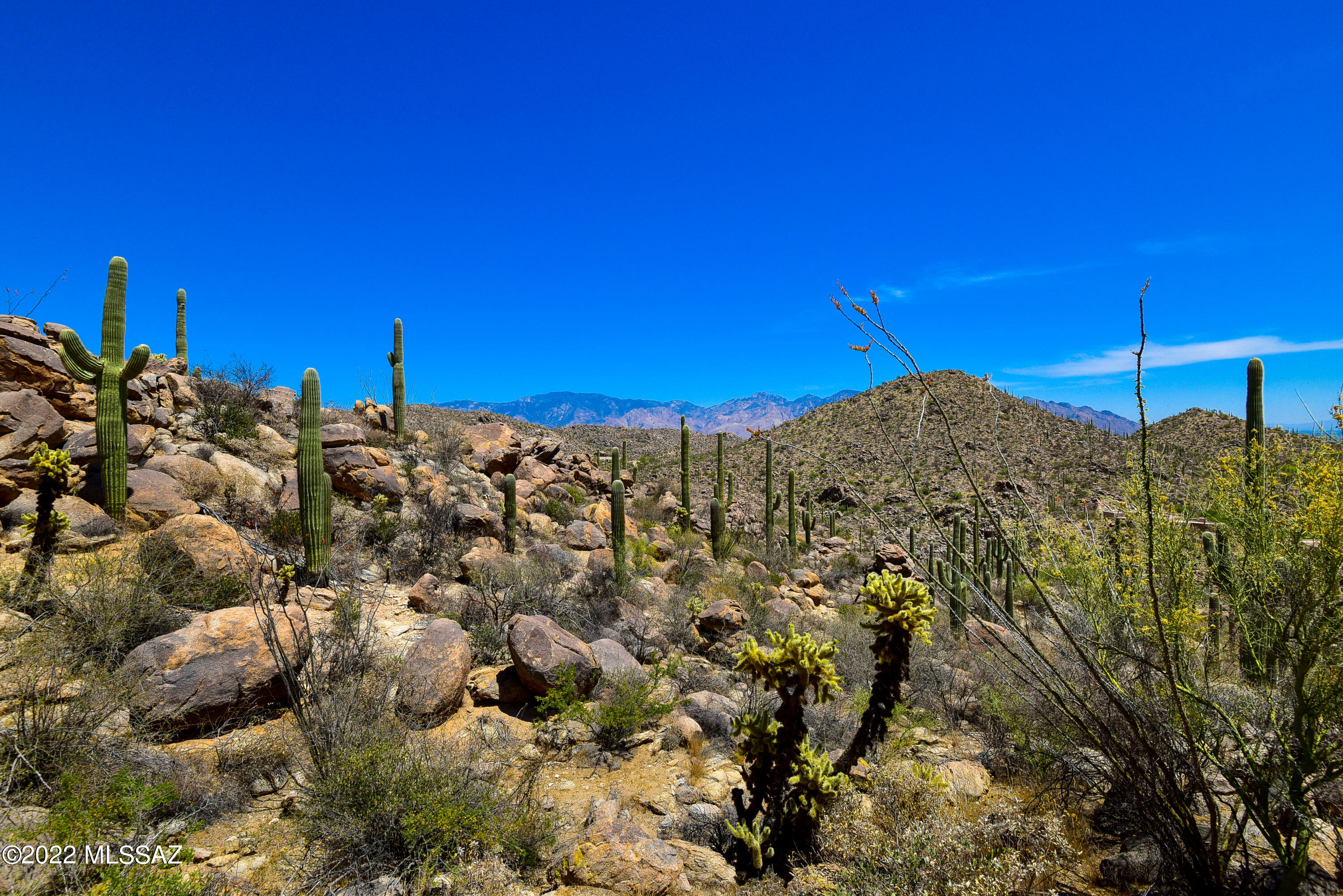 Saguaro Ranch (9-52) Blks. 1-4 - Land