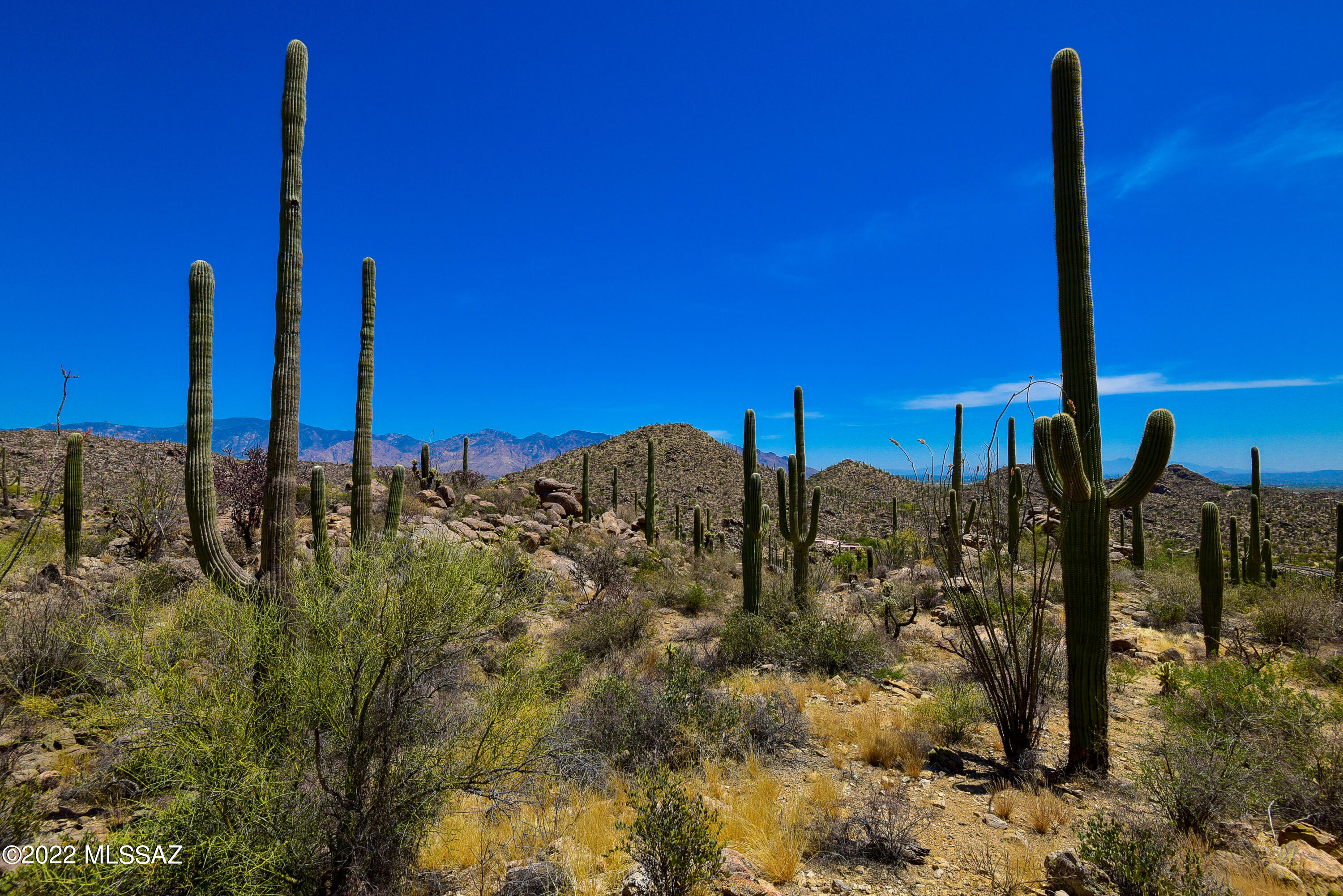 Saguaro Ranch (9-52) Blks. 1-4 - Land