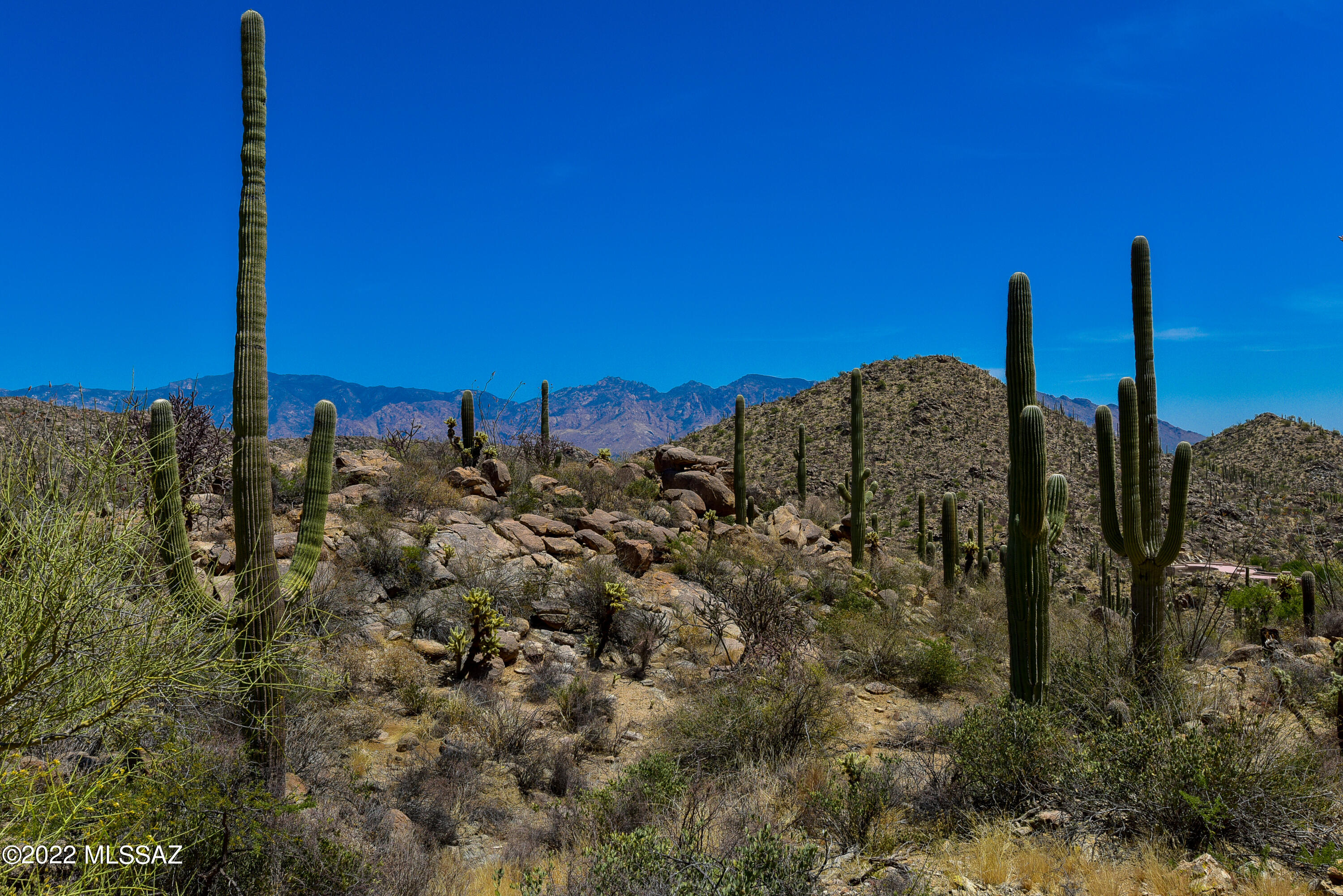 Saguaro Ranch (9-52) Blks. 1-4 - Land