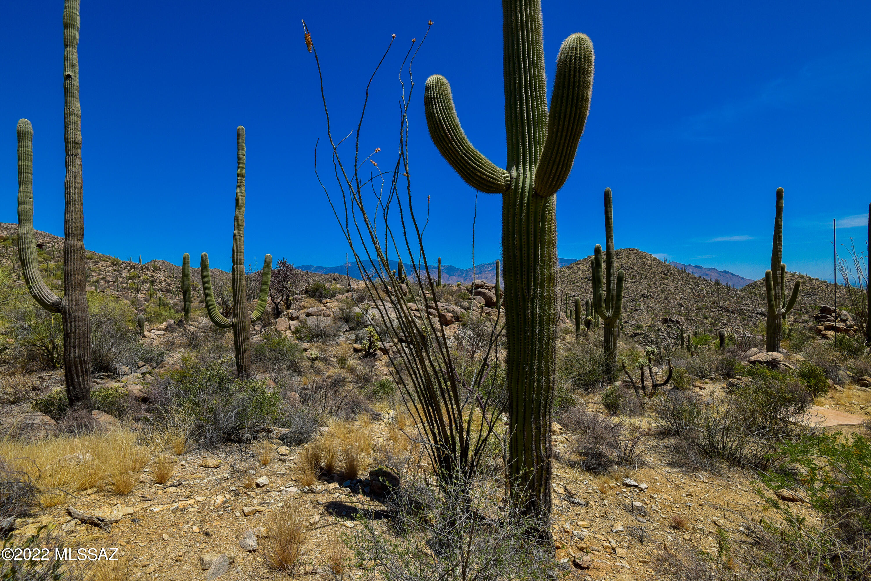 Saguaro Ranch (9-52) Blks. 1-4 - Land