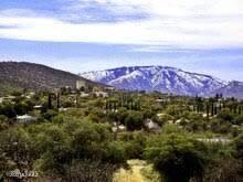 Oracle Village Estates - Residential