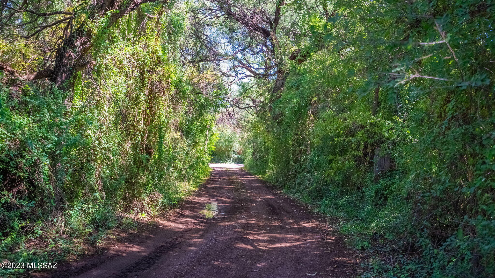 Tubac Townsite - Residential