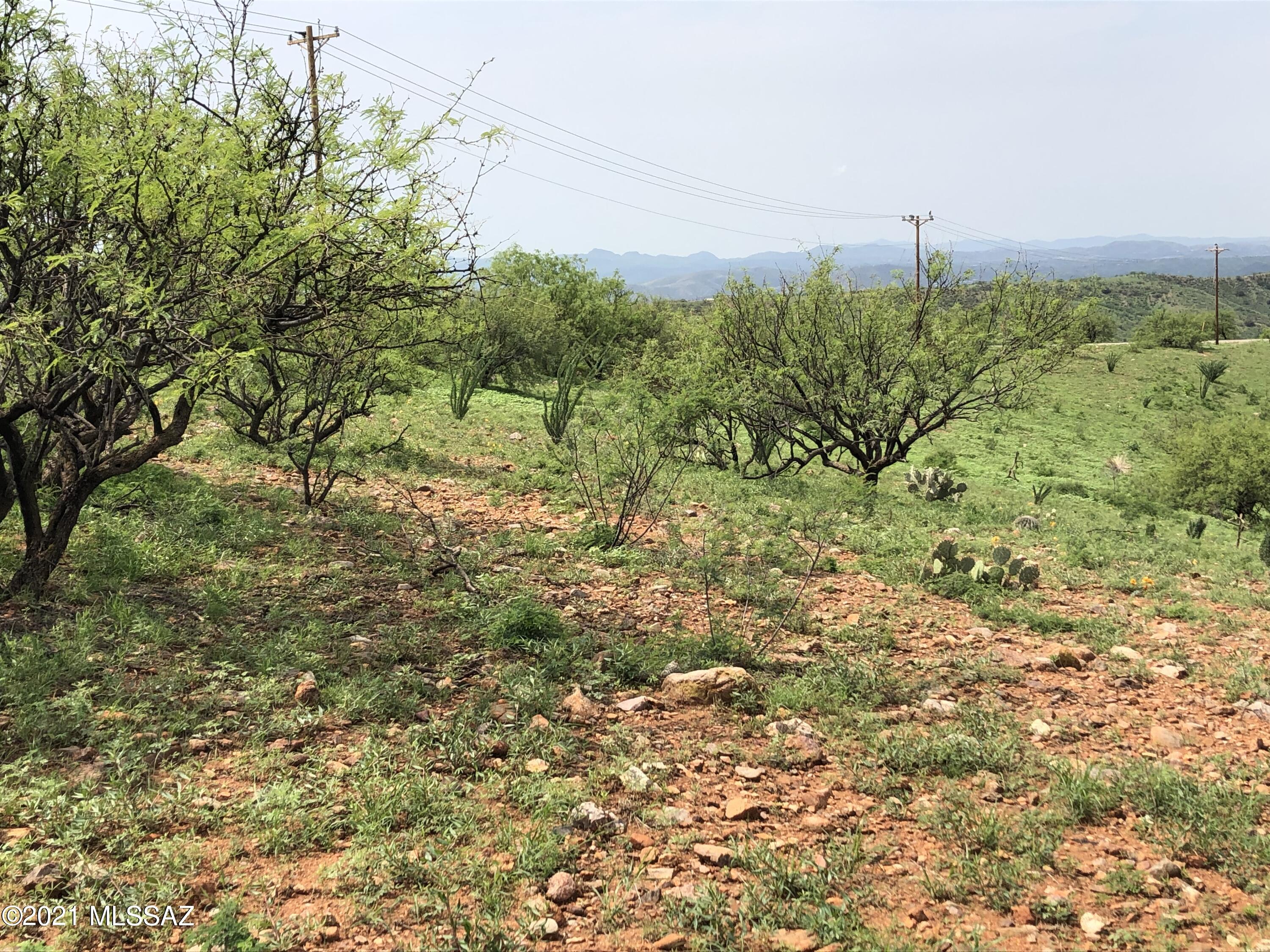 Lake Patagonia Ranch - Land
