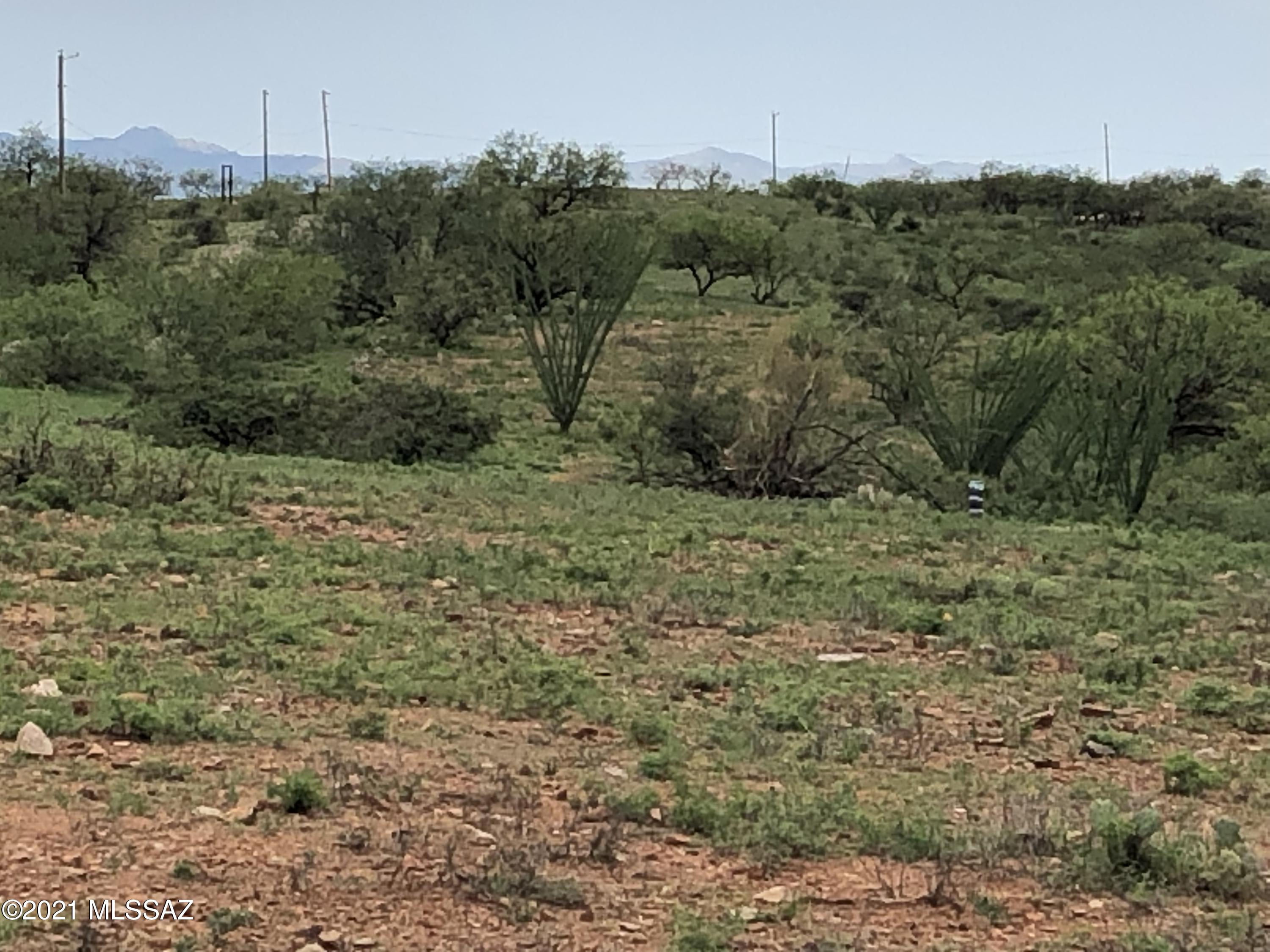 Lake Patagonia Ranch - Land
