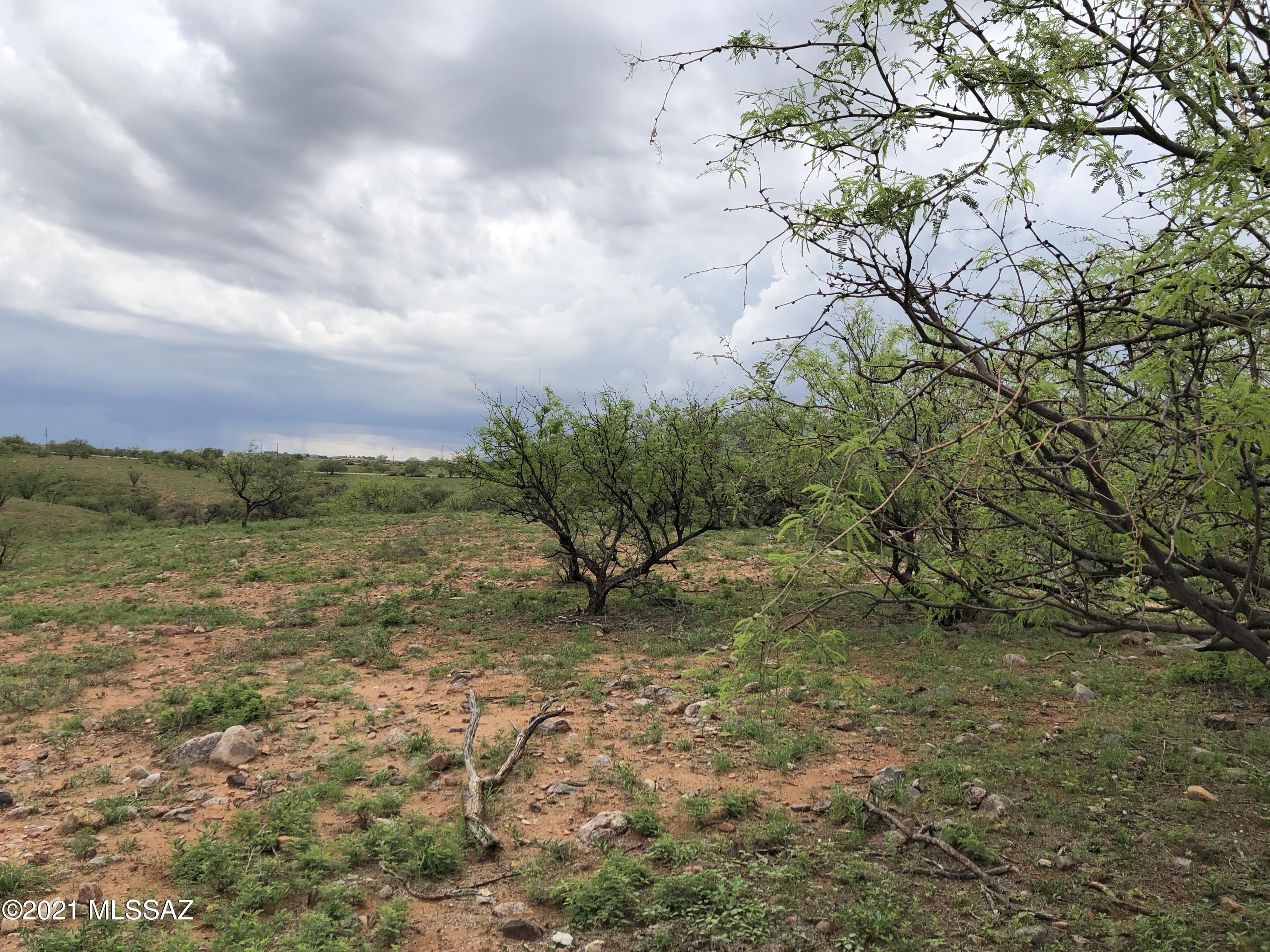 Lake Patagonia Ranch - Land