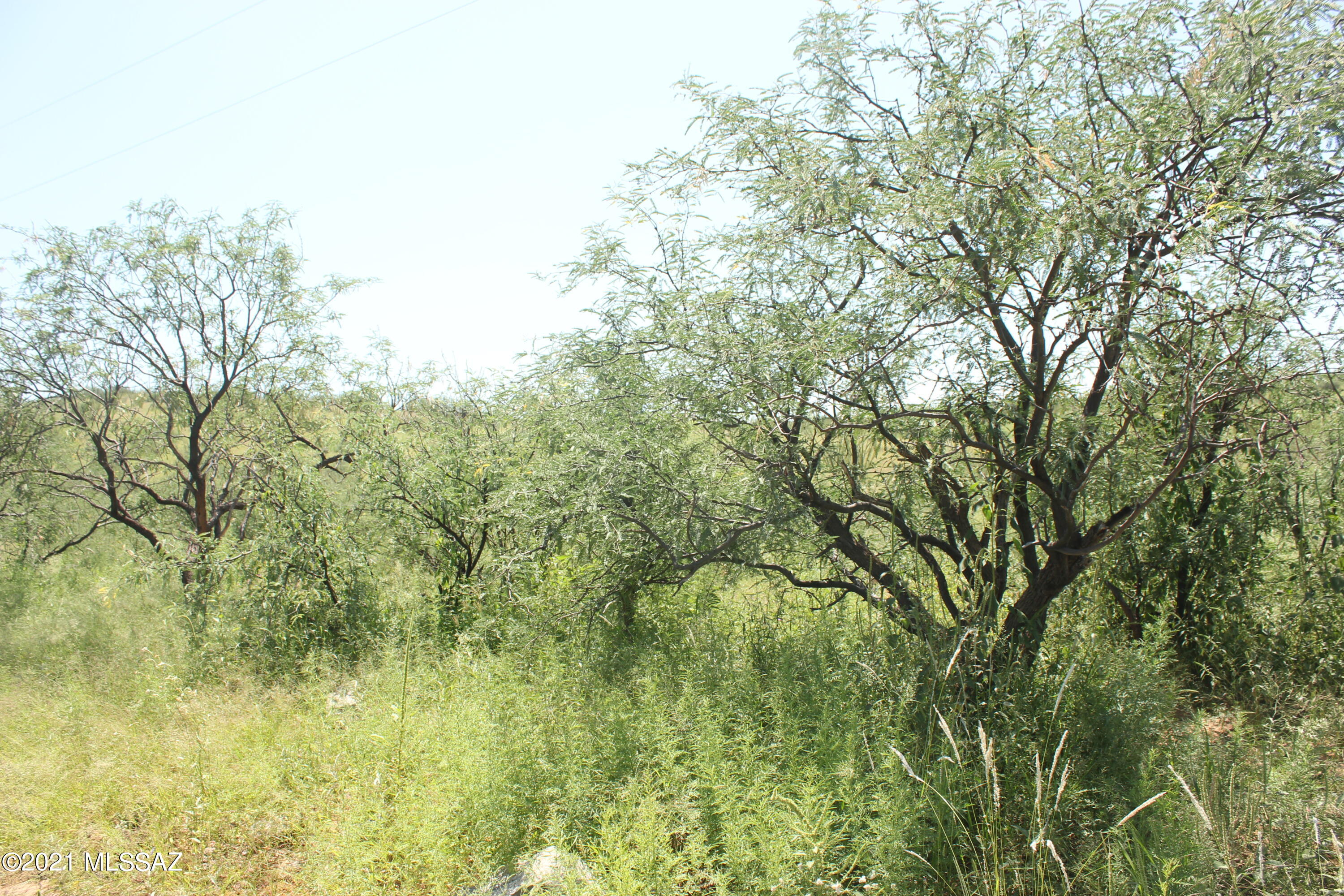 Rio Rico Ranchettes 18 - Land