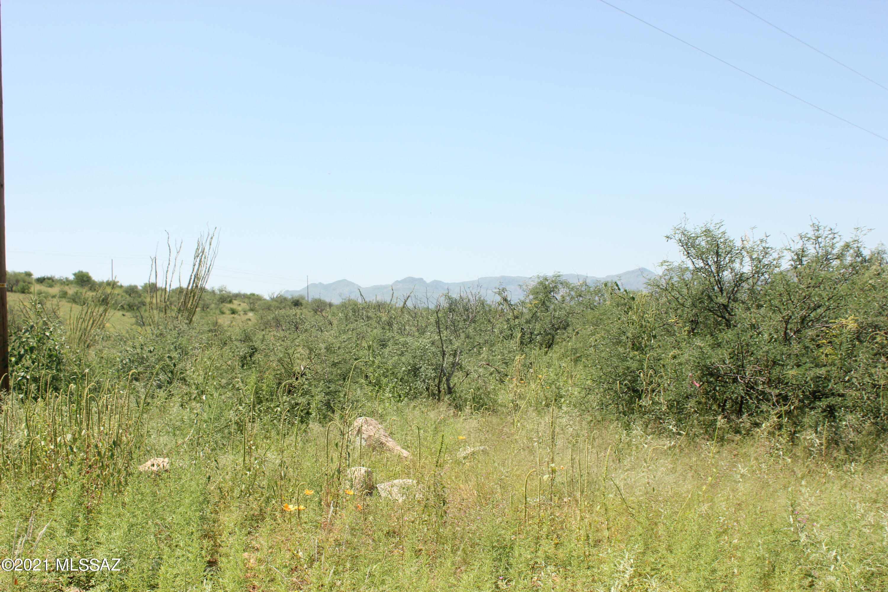 Rio Rico Ranchettes 18 - Land