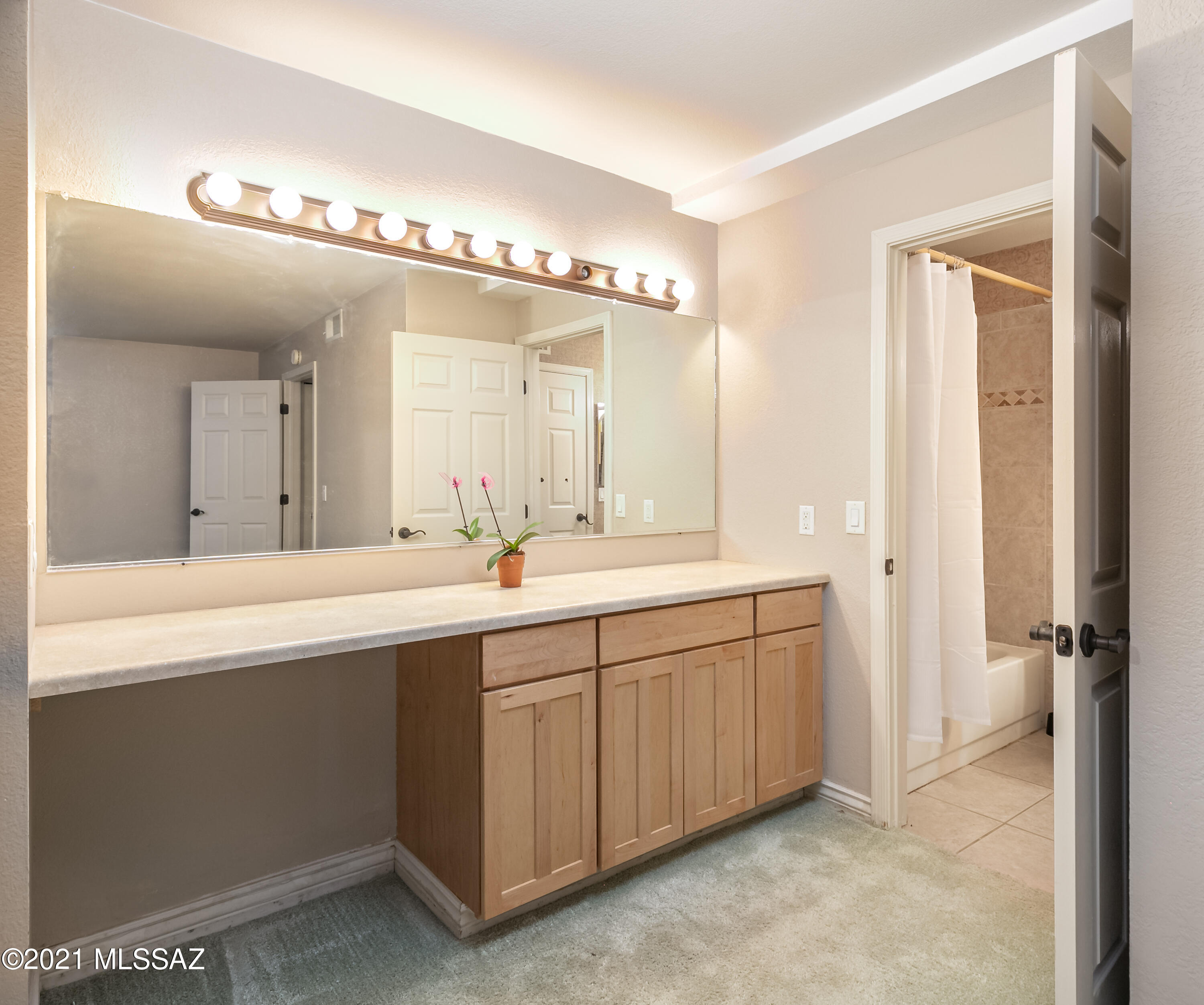 Tierra Catalina Condominium (1-120) - Residential